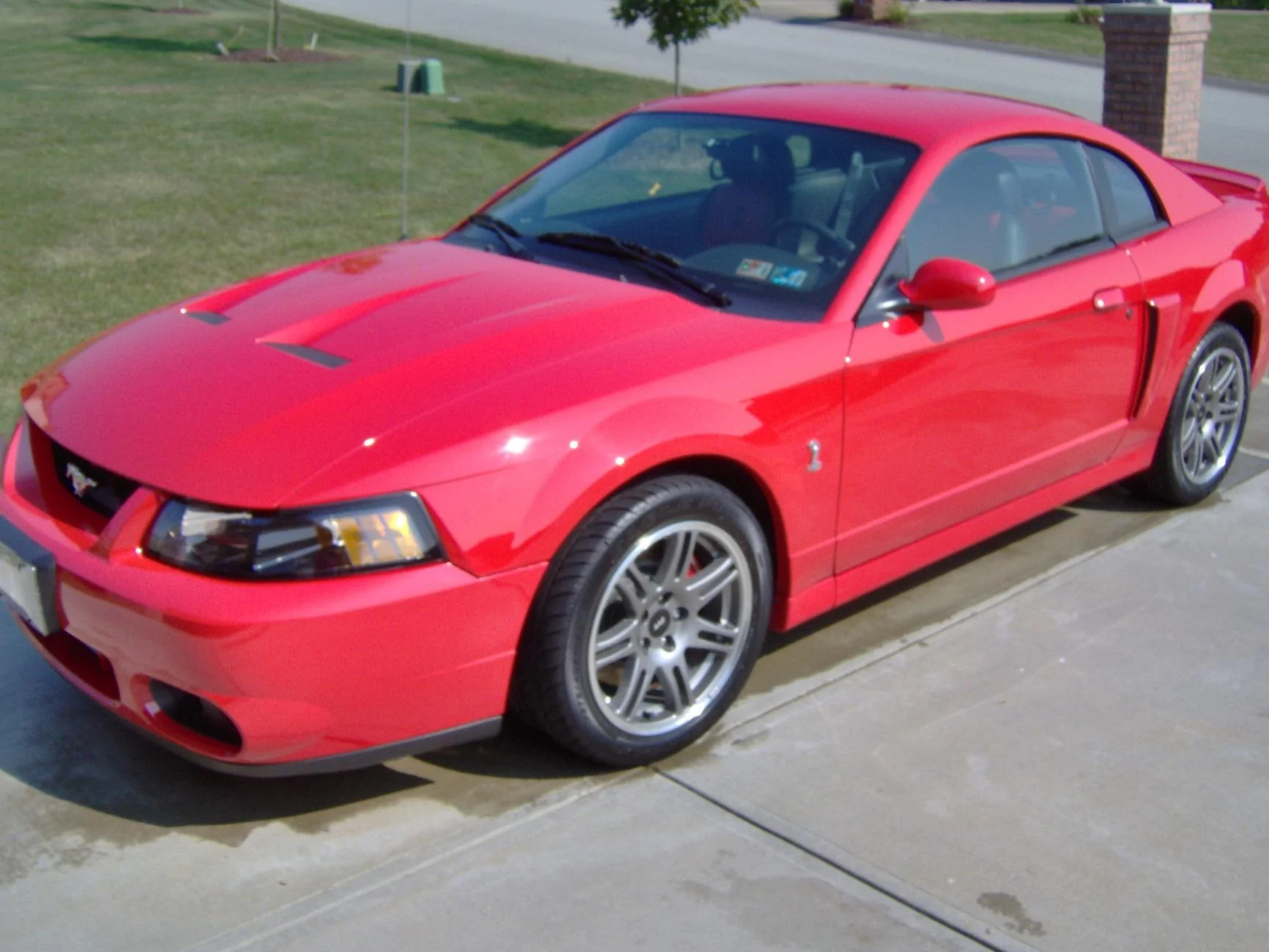 S650 Mustang Dark Horse vs Shelby 03cobra with old wheels