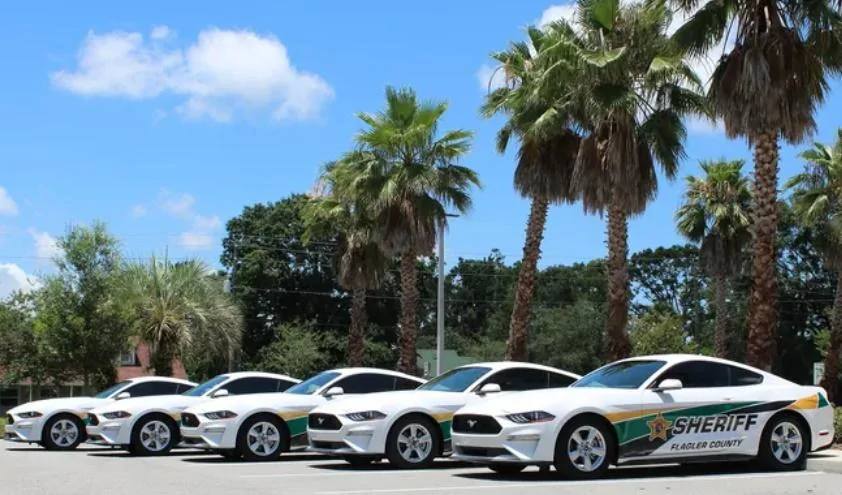 S650 Mustang Caution: All South Caroliners, Beware! Untitled