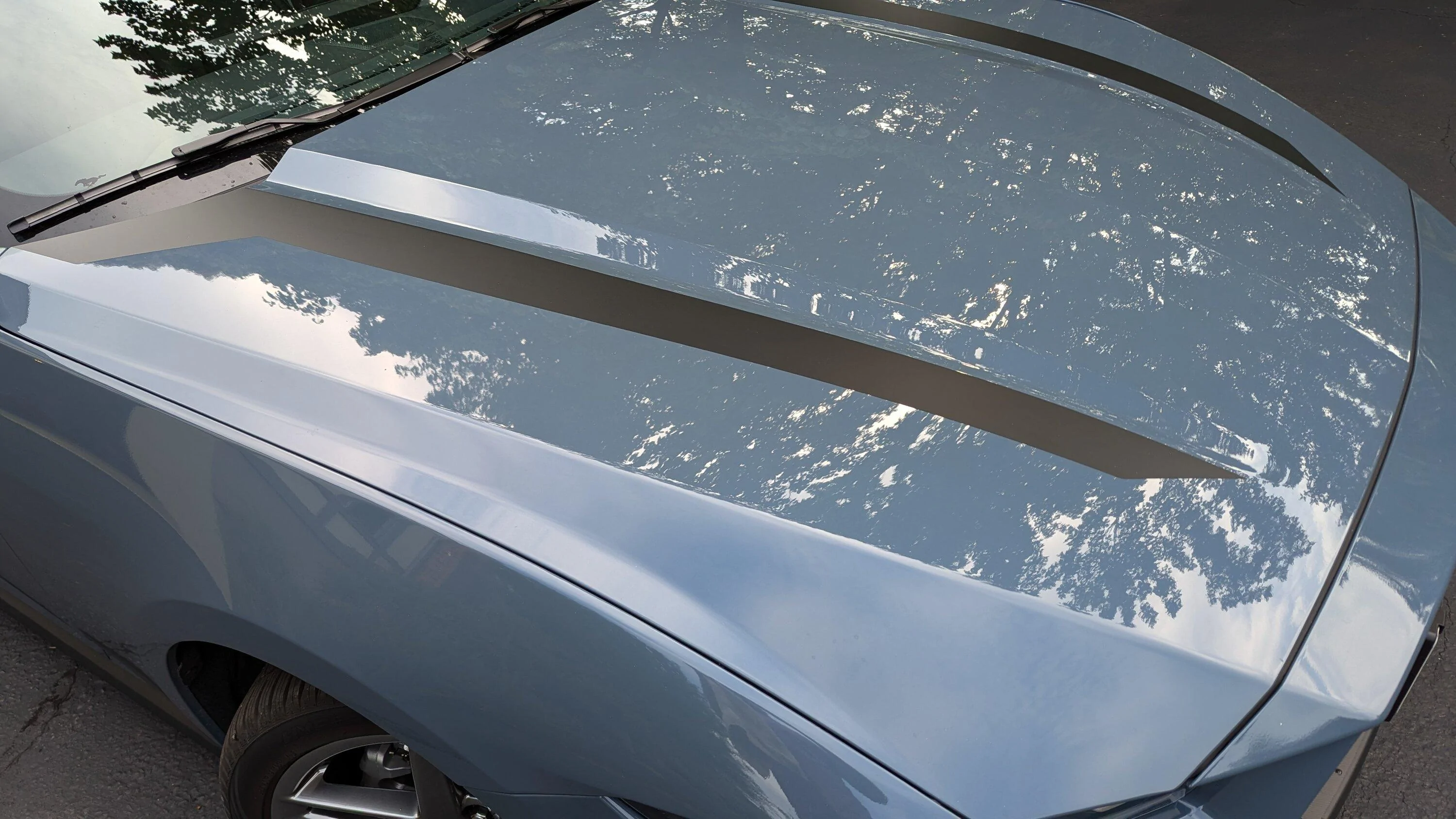S650 Mustang What do you think of these EcoBoost Hood Graphics PXL_20240704_132941981