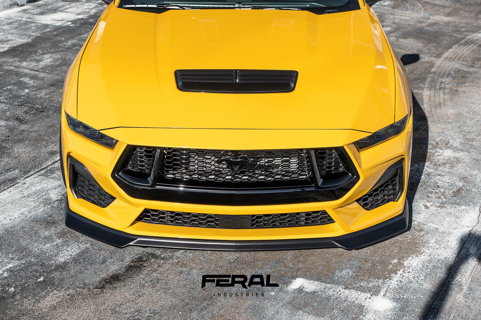 S650 Mustang Feral Industries - Official S650 Mustang Aero 53581497351_fabb71fac9_k