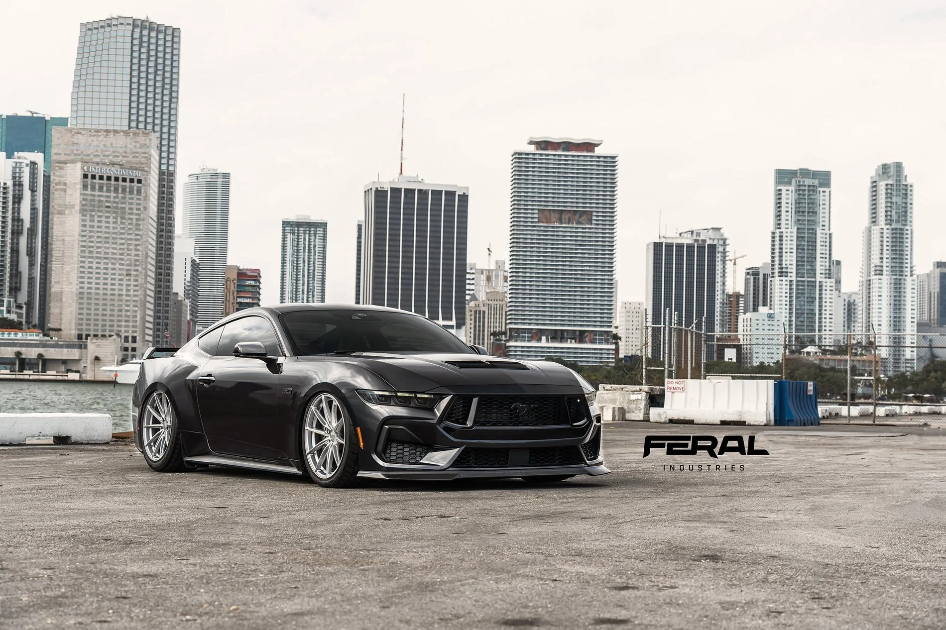 S650 Mustang Feral Industries - Official S650 Mustang Aero 53486954476_6611d1ab25_k