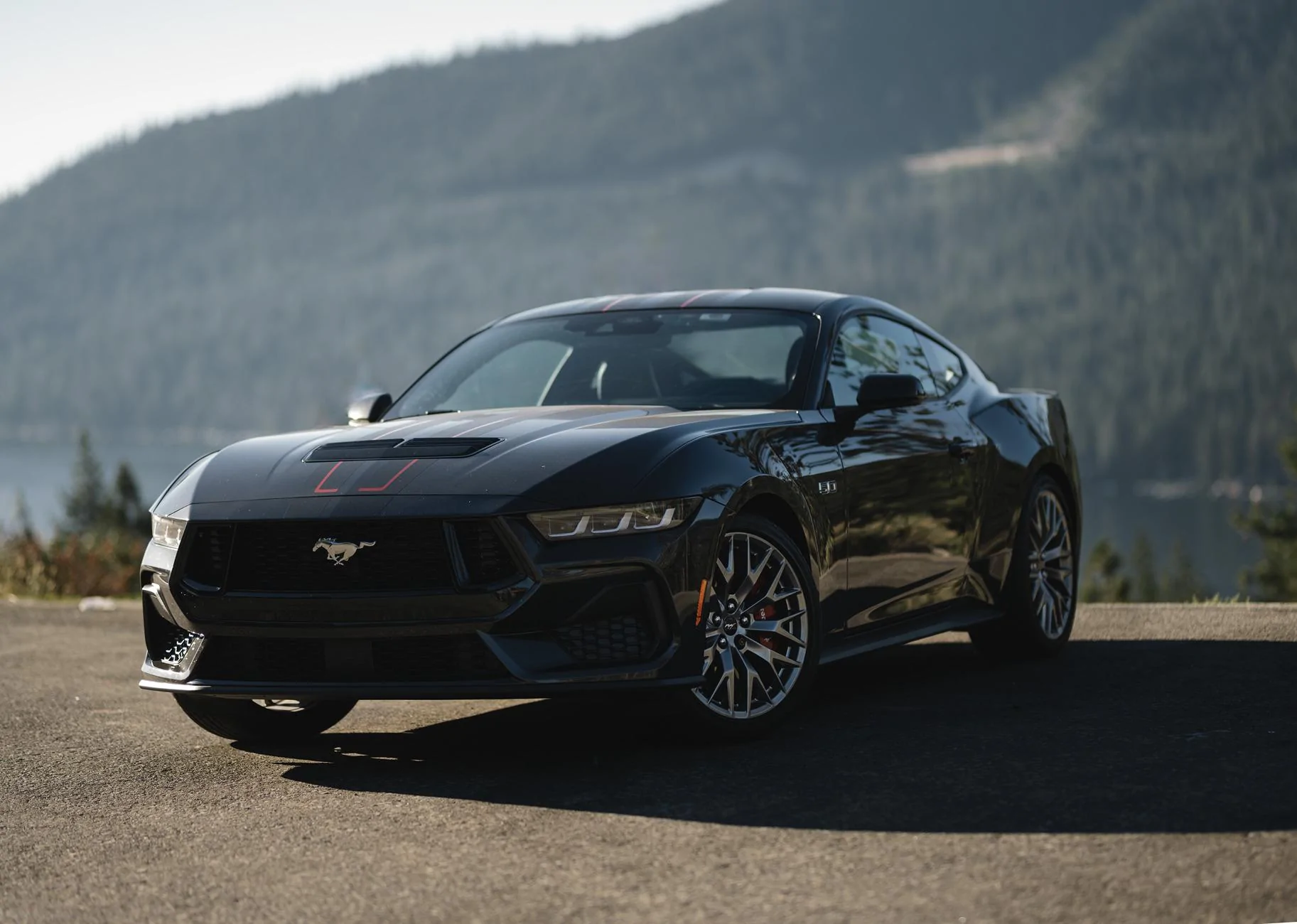S650 Mustang Official DARK MATTER GRAY Mustang S650 Thread SAF_1886