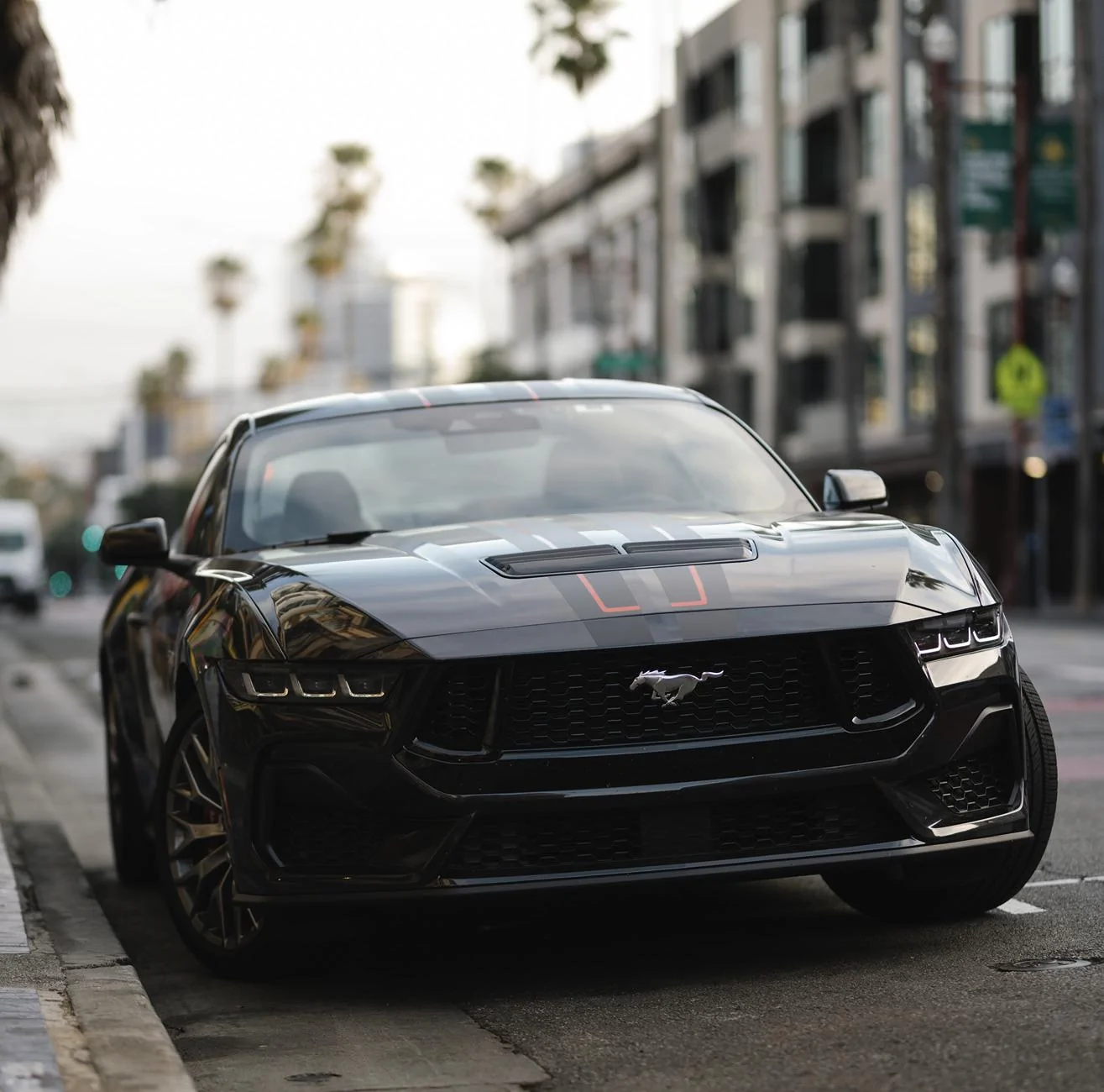 S650 Mustang Official DARK MATTER GRAY Mustang S650 Thread SAF_2320