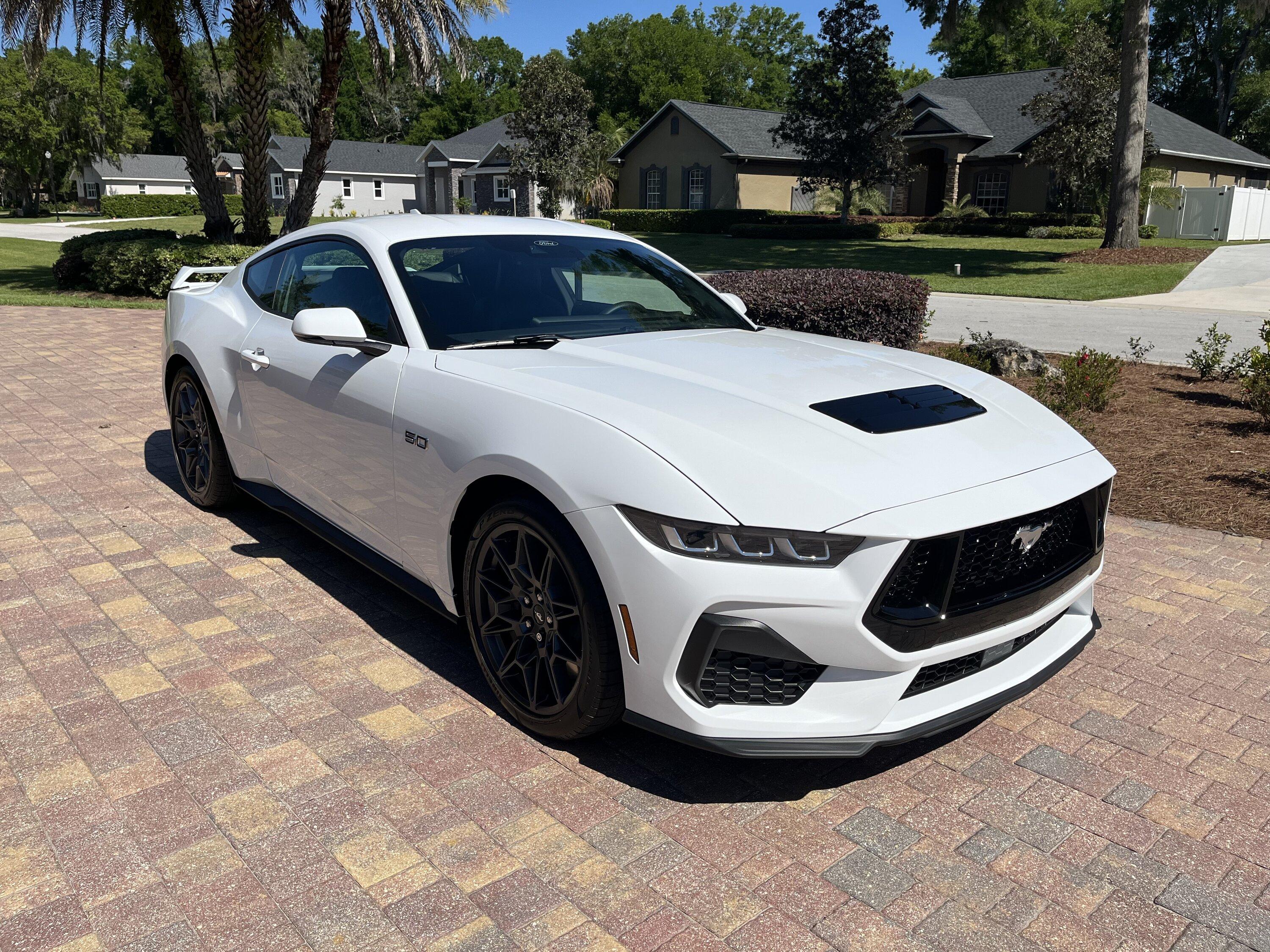 S650 Mustang You Guys Are Going to Think I'm Nuts! IMG_2088.JPG