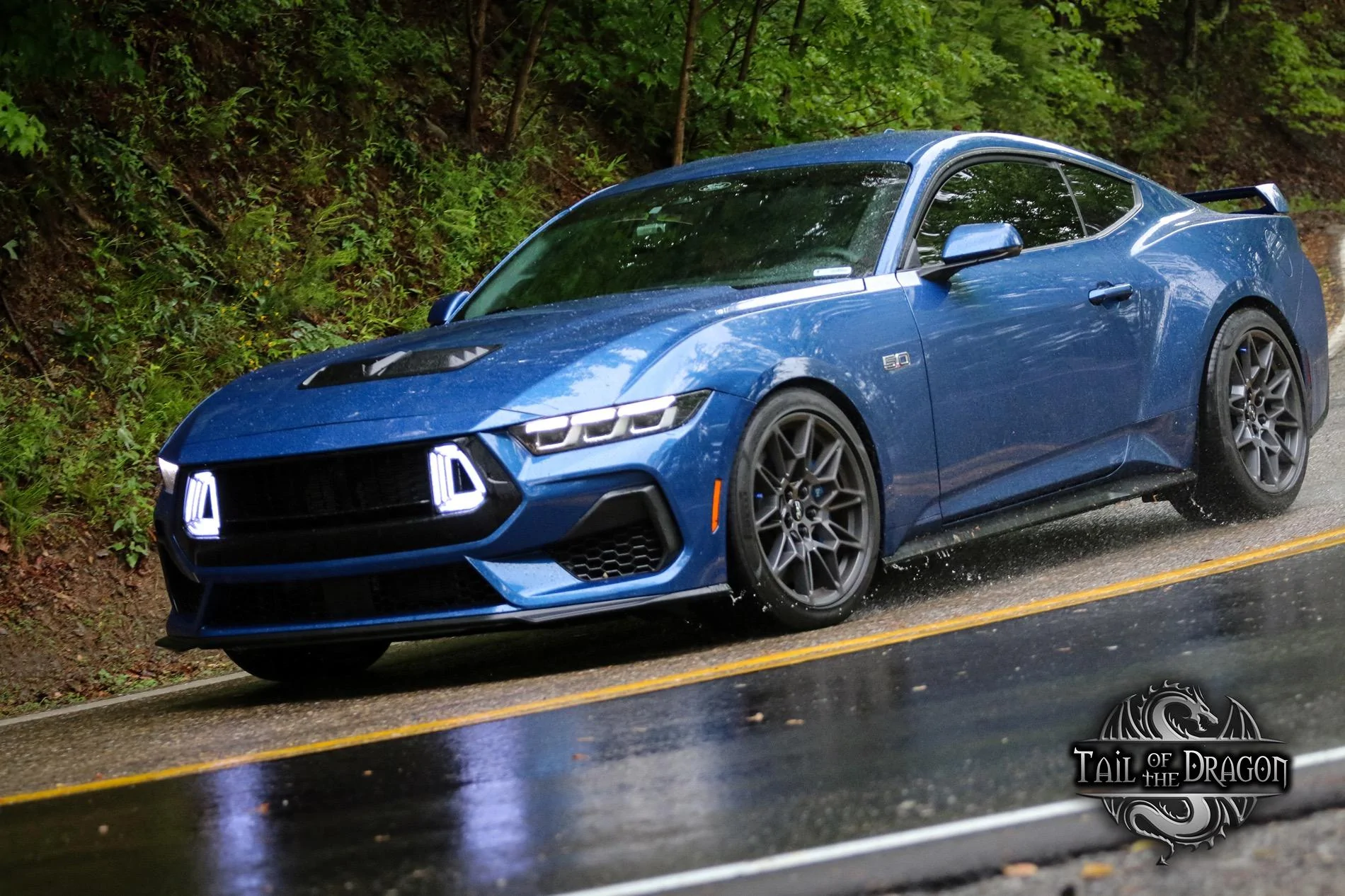 S650 Mustang Share your Fav S650 shot 4451501