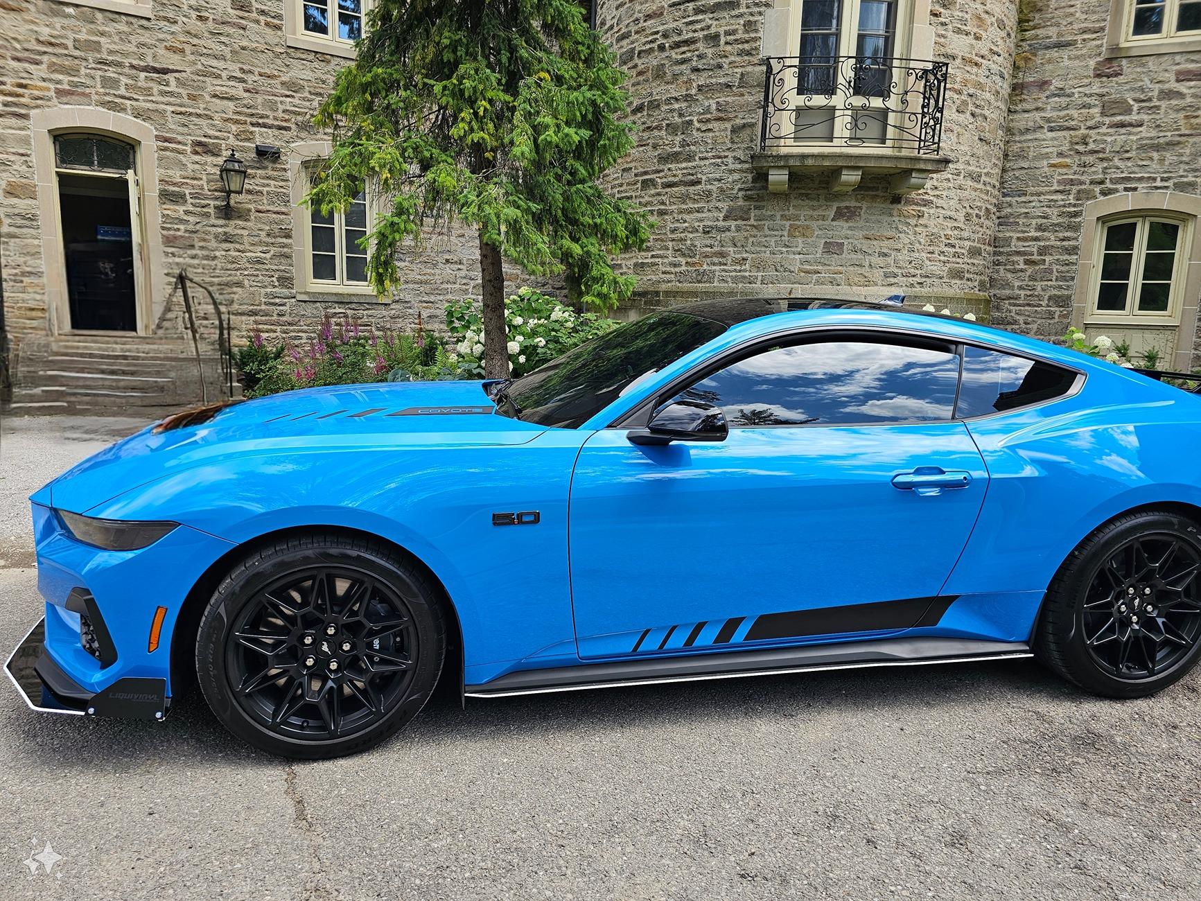 S650 Mustang Official GRABBER BLUE Mustang S650 Thread 1000023527