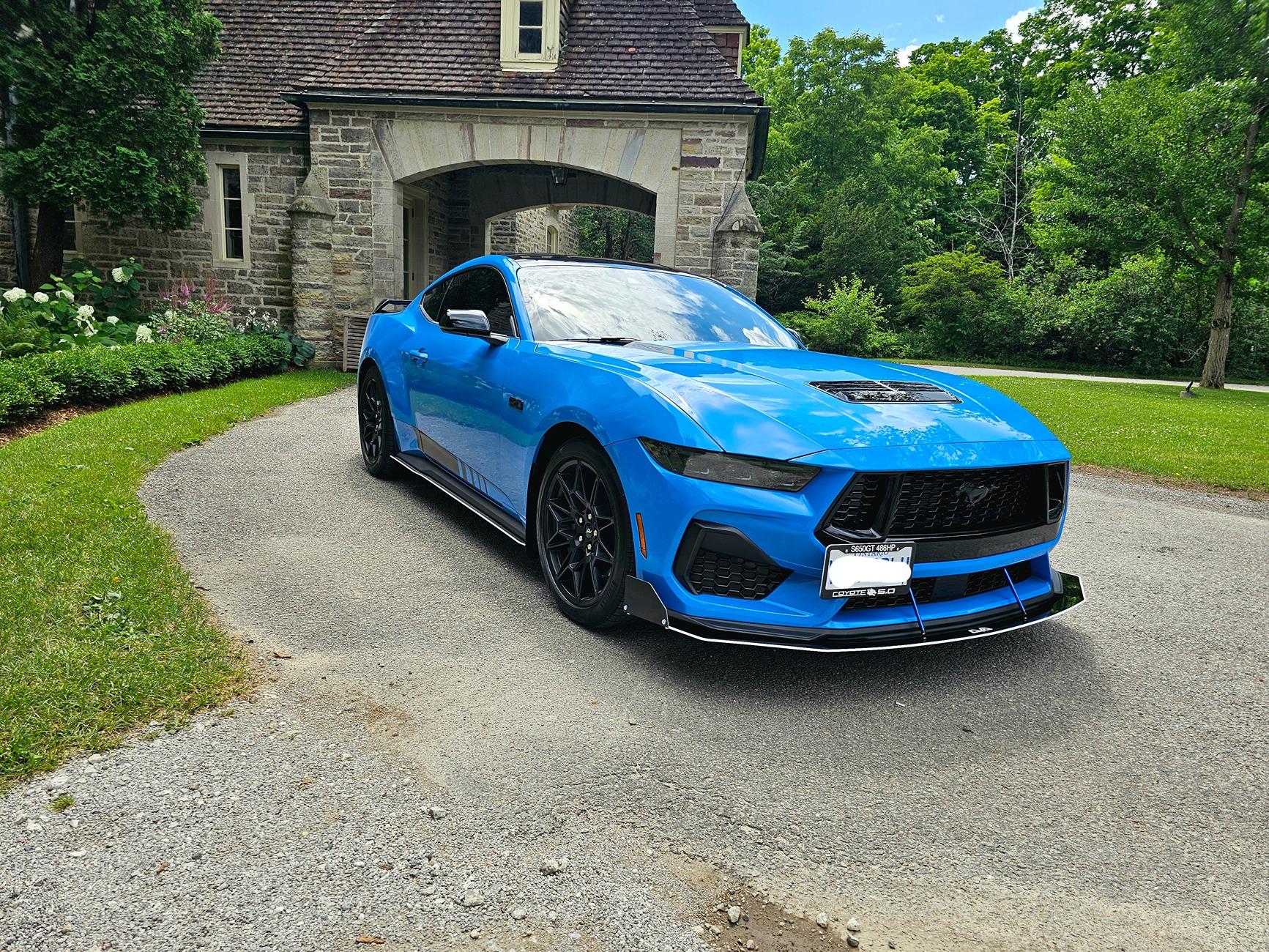 S650 Mustang Official GRABBER BLUE Mustang S650 Thread 1000023525