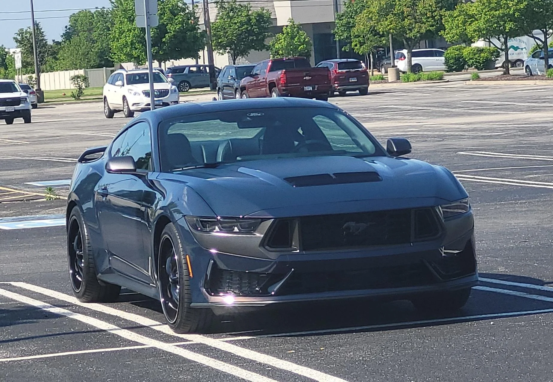 S650 Mustang Blue ember available with std Dark Horse? 20240517_161424