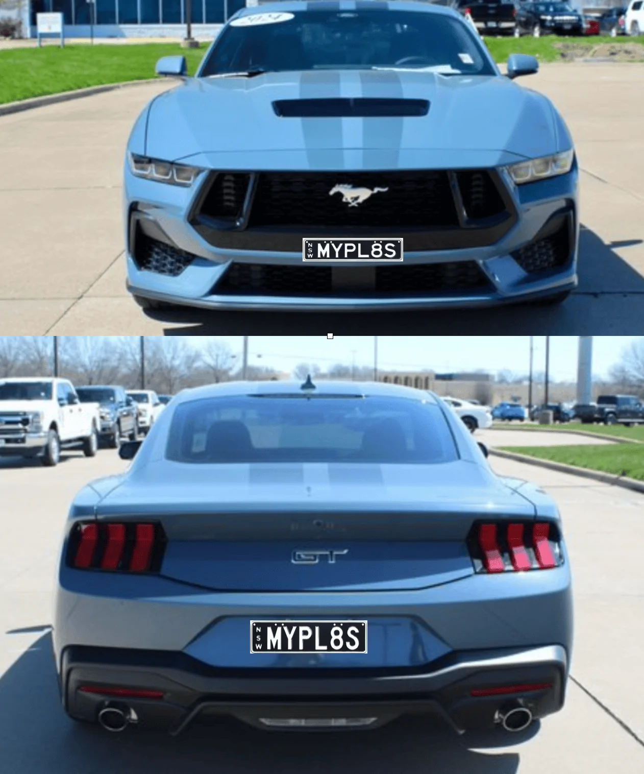 S650 Mustang Custom Rego plates Screenshot 2024-07-14 at 8.00.02 am