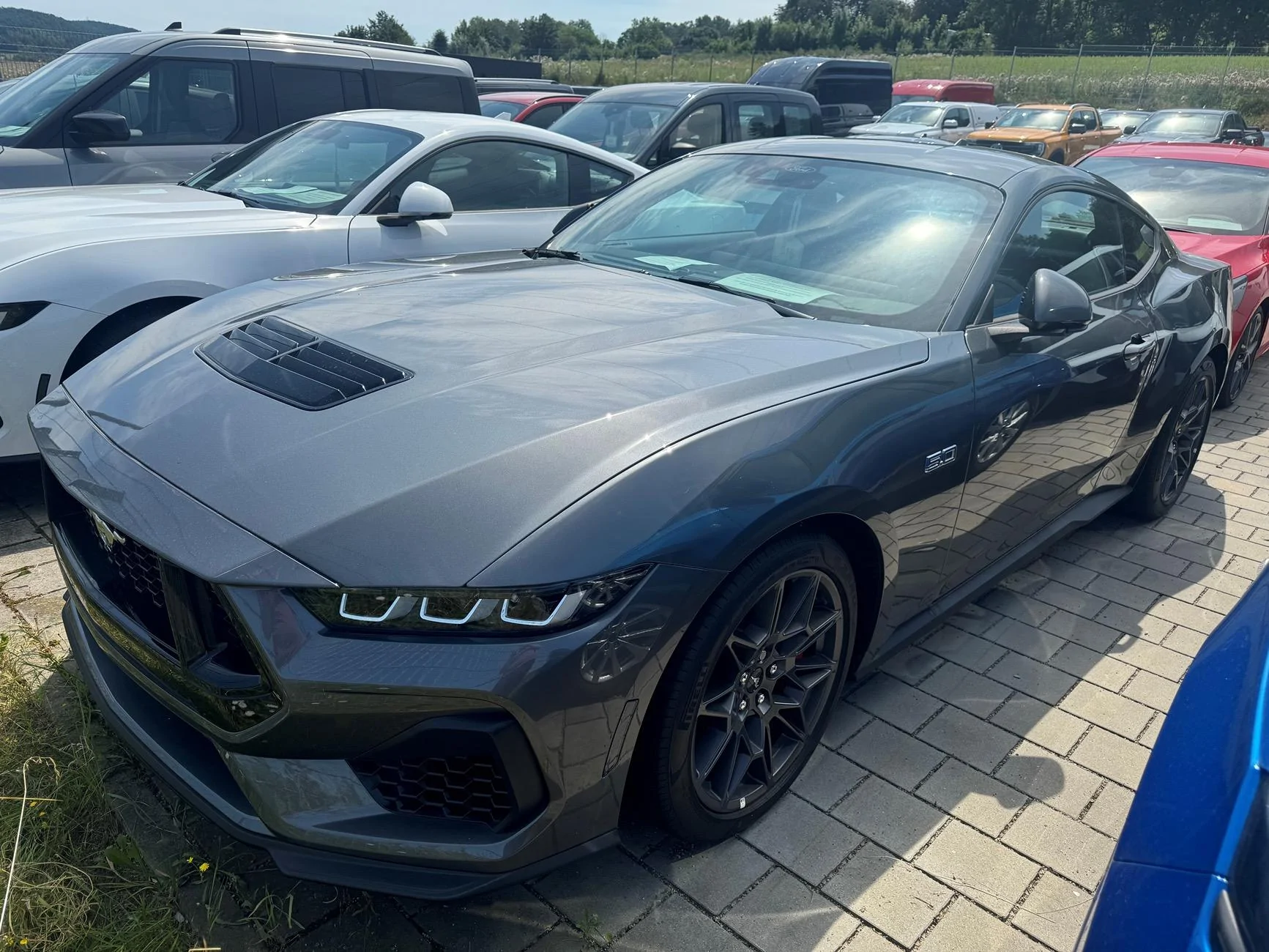 S650 Mustang List of EU forum orders Mustang Front