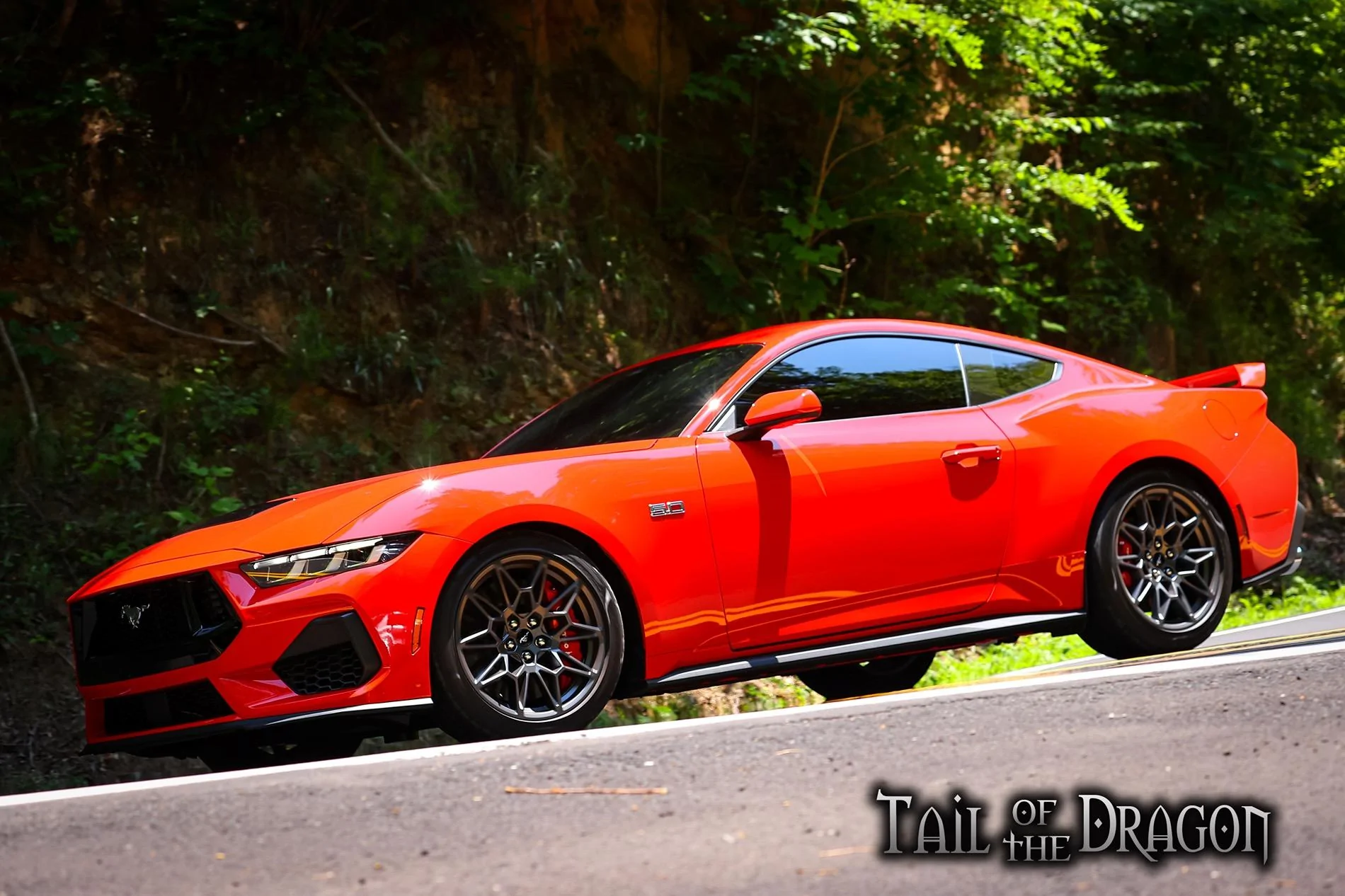 S650 Mustang Tail of the Dragon drive with 24 Mustang GT IMG_1030