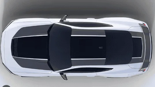 S650 Mustang Mustang Dark Horse roof graphics Screenshot 2024-07-23 095428