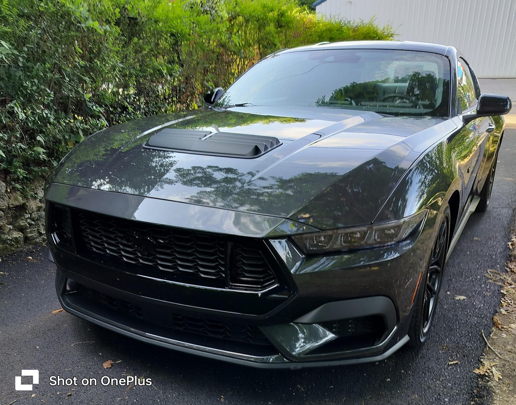 S650 Mustang Transforming the front end of the car, adding air design splitter, GT style grille and hood vent IMG_20240708_085856