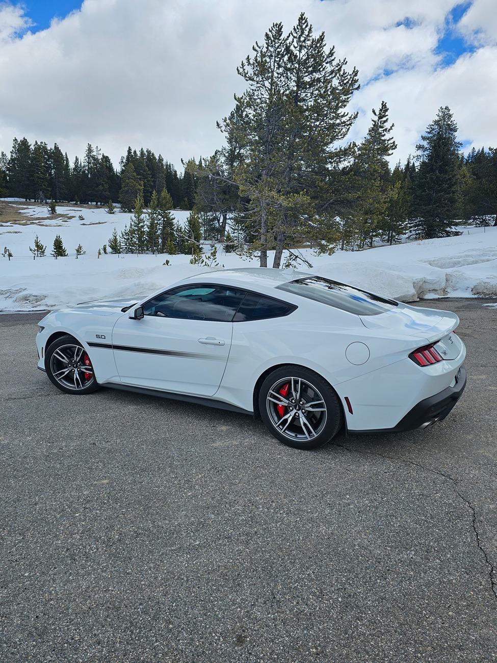 S650 Mustang Official OXFORD WHITE Mustang S650 Thread 1721942717251-jw