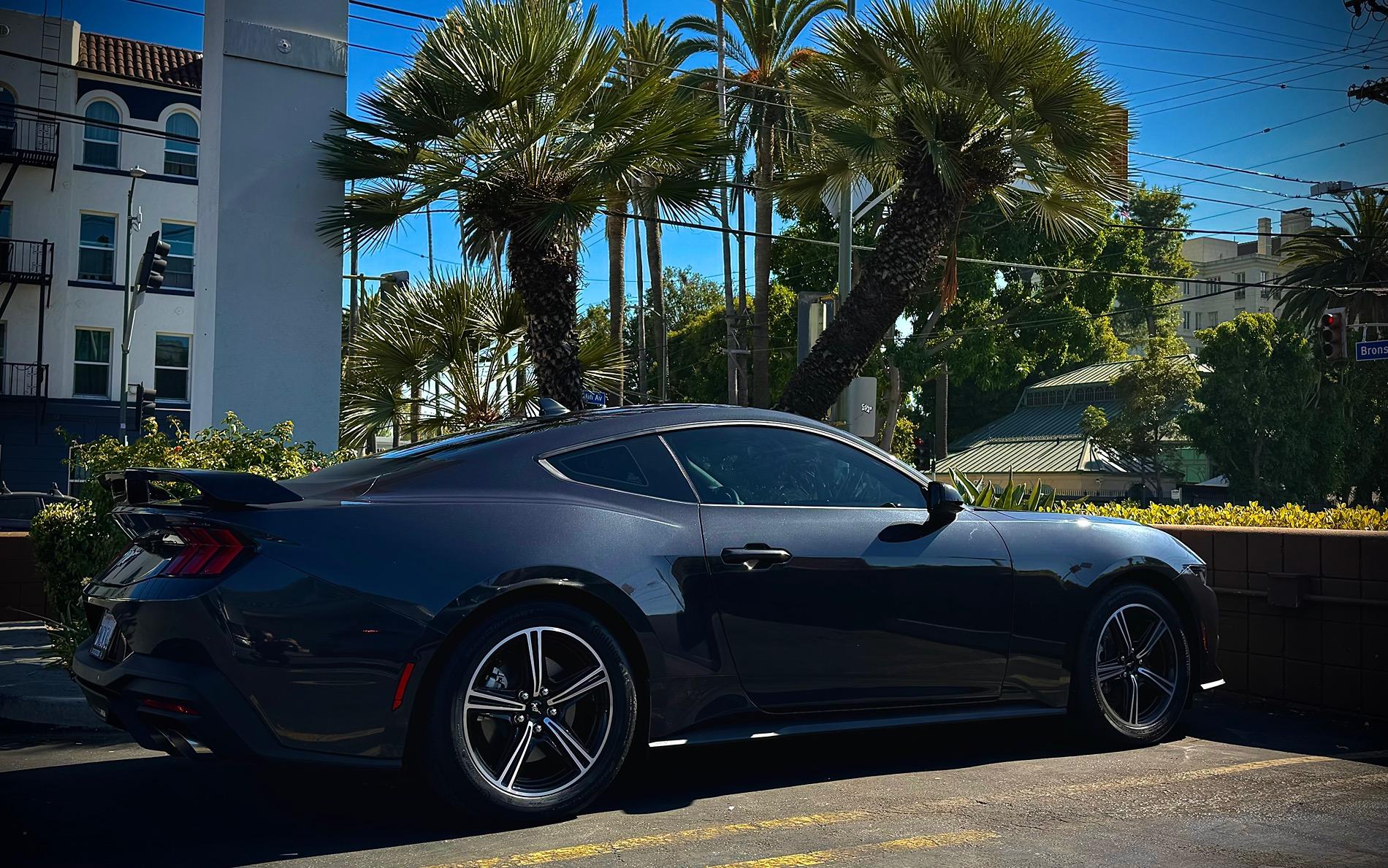 S650 Mustang New spoiler IMG_0887