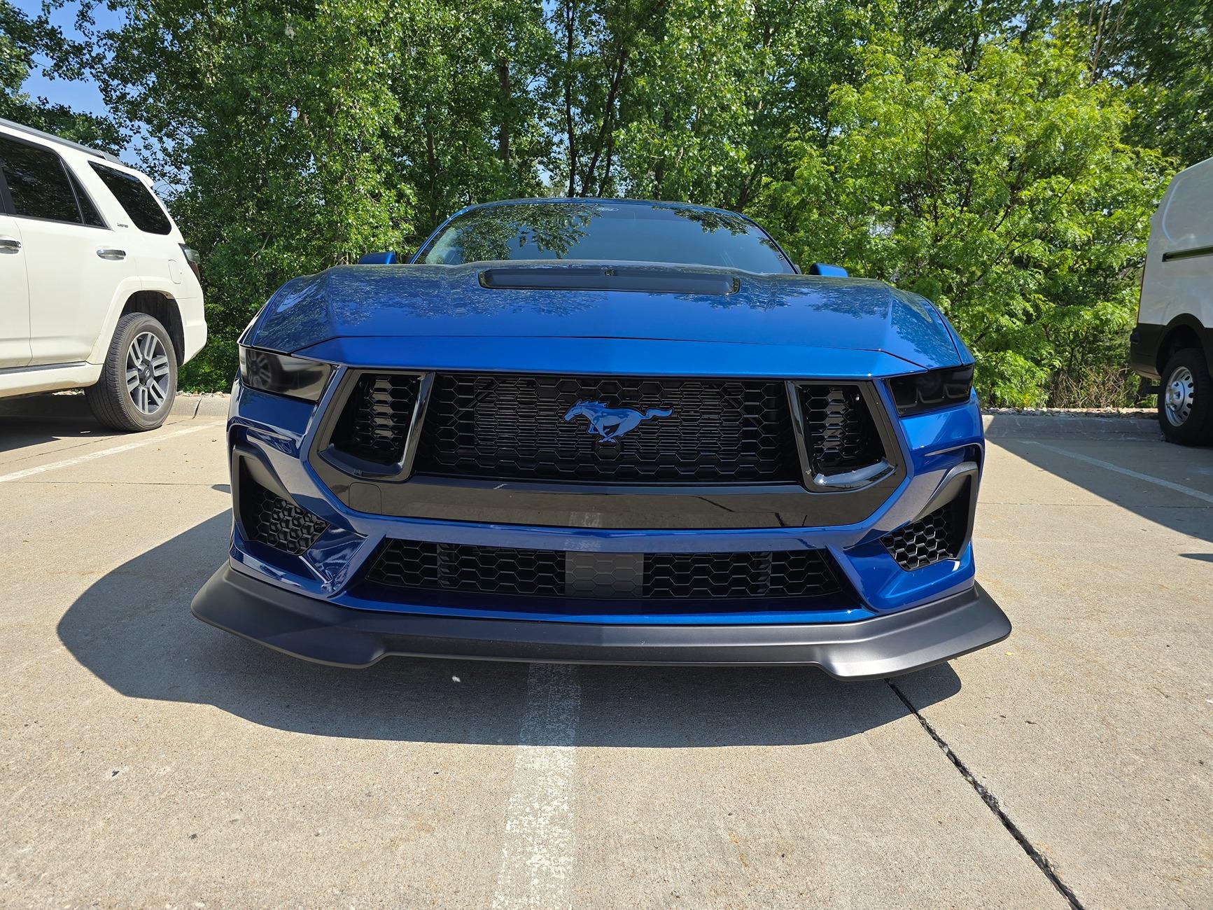 S650 Mustang Pony badge on front grille 20240514_110356