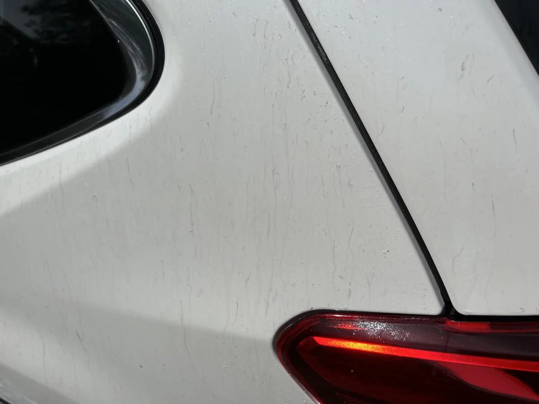 S650 Mustang DIY'ers Spray Clay IMG-0542
