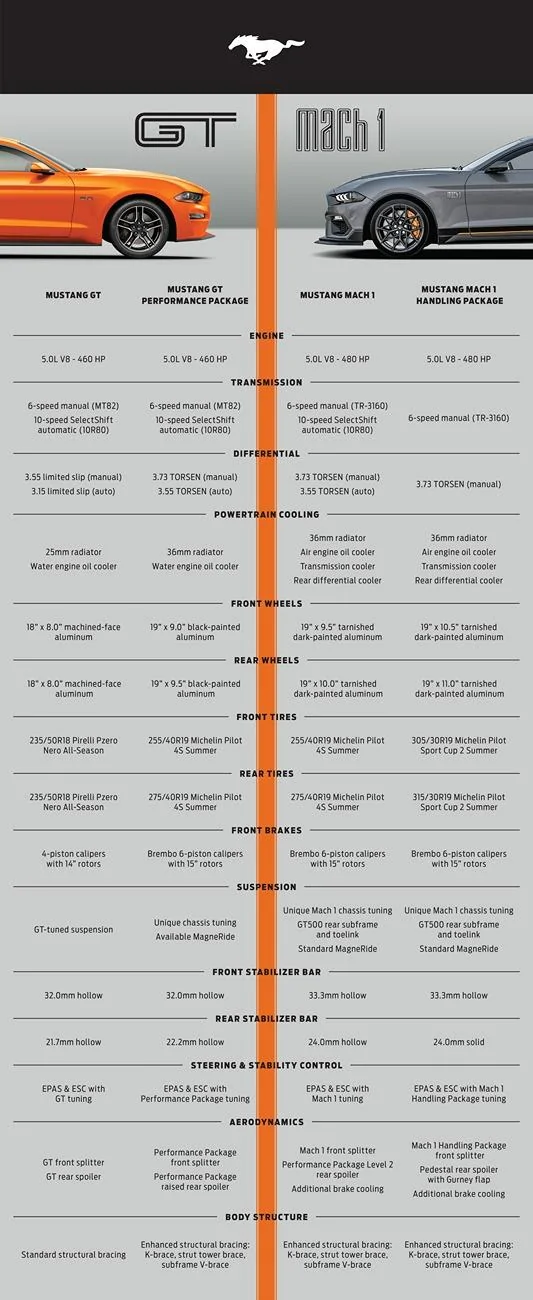 brochure gt versus mach 1.webp