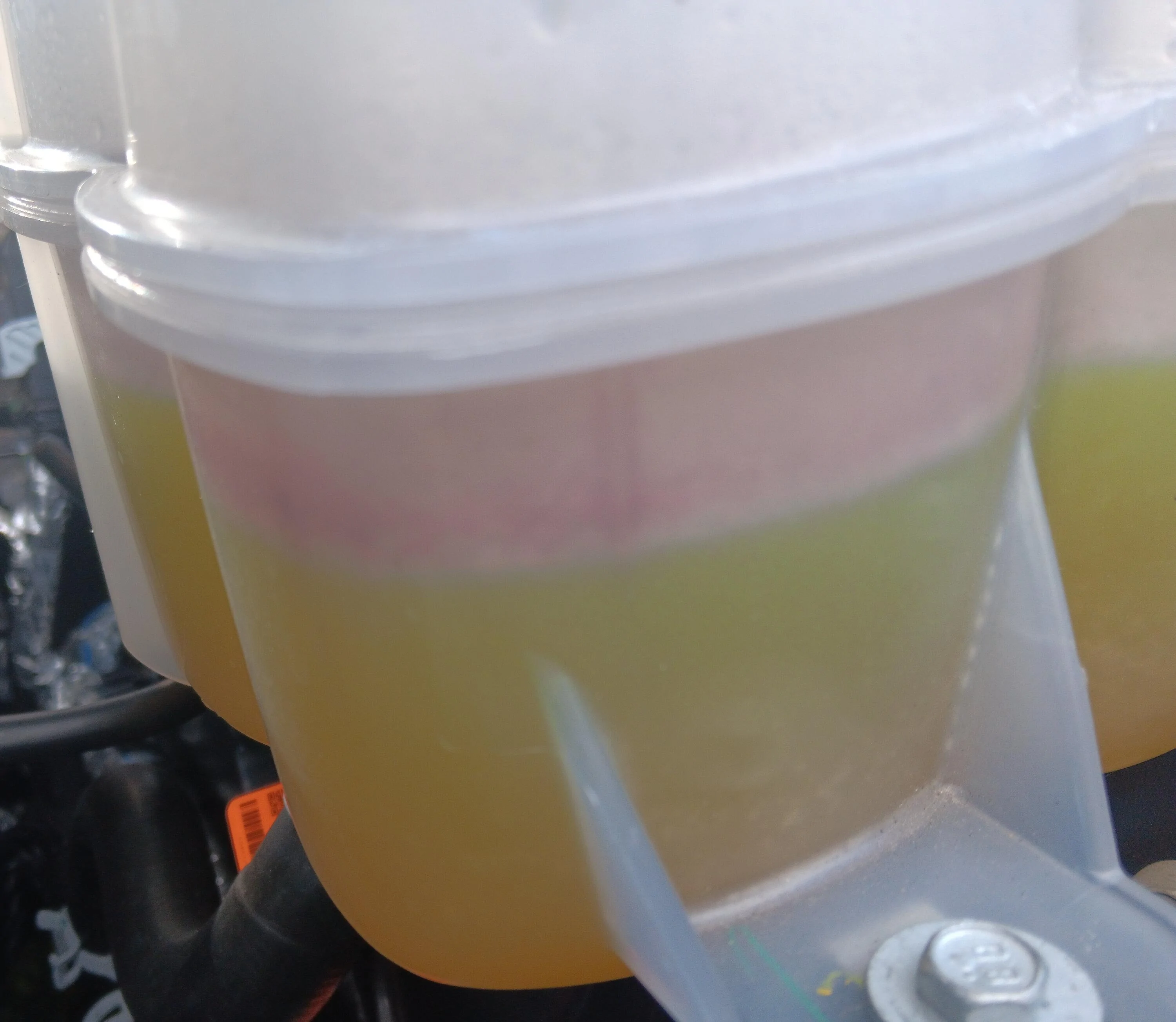 S650 Mustang Your coolant look good? 20240820_164242