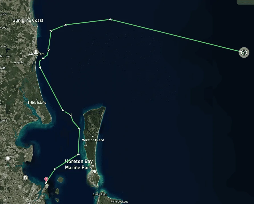 S650 Mustang Tracking the Vehicle Carrier Tarifa around Australia 1724562040258-pj