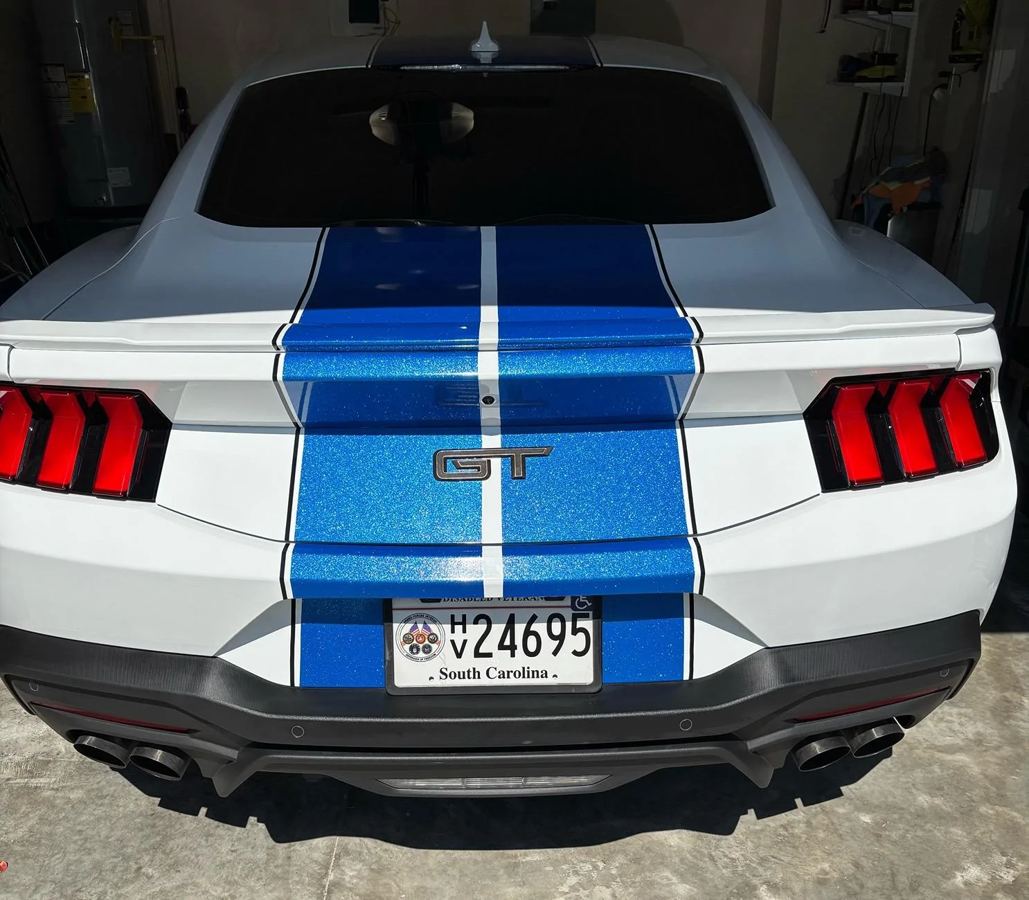S650 Mustang Racing Stripes or Wrap! IMG_2438