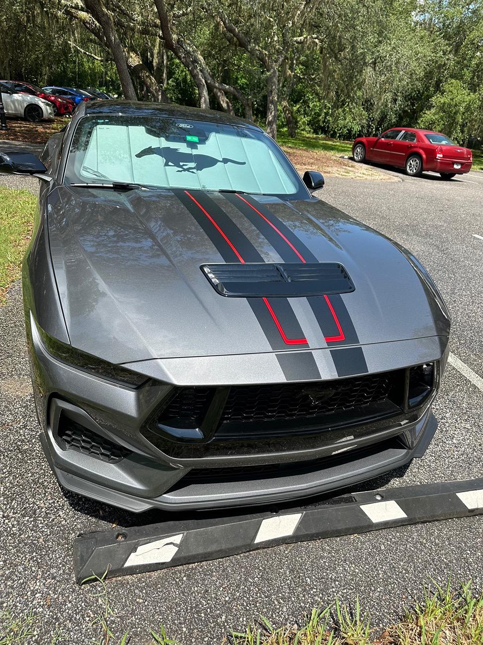 S650 Mustang Official CARBONIZED GRAY Mustang S650 Thread IMG_0322