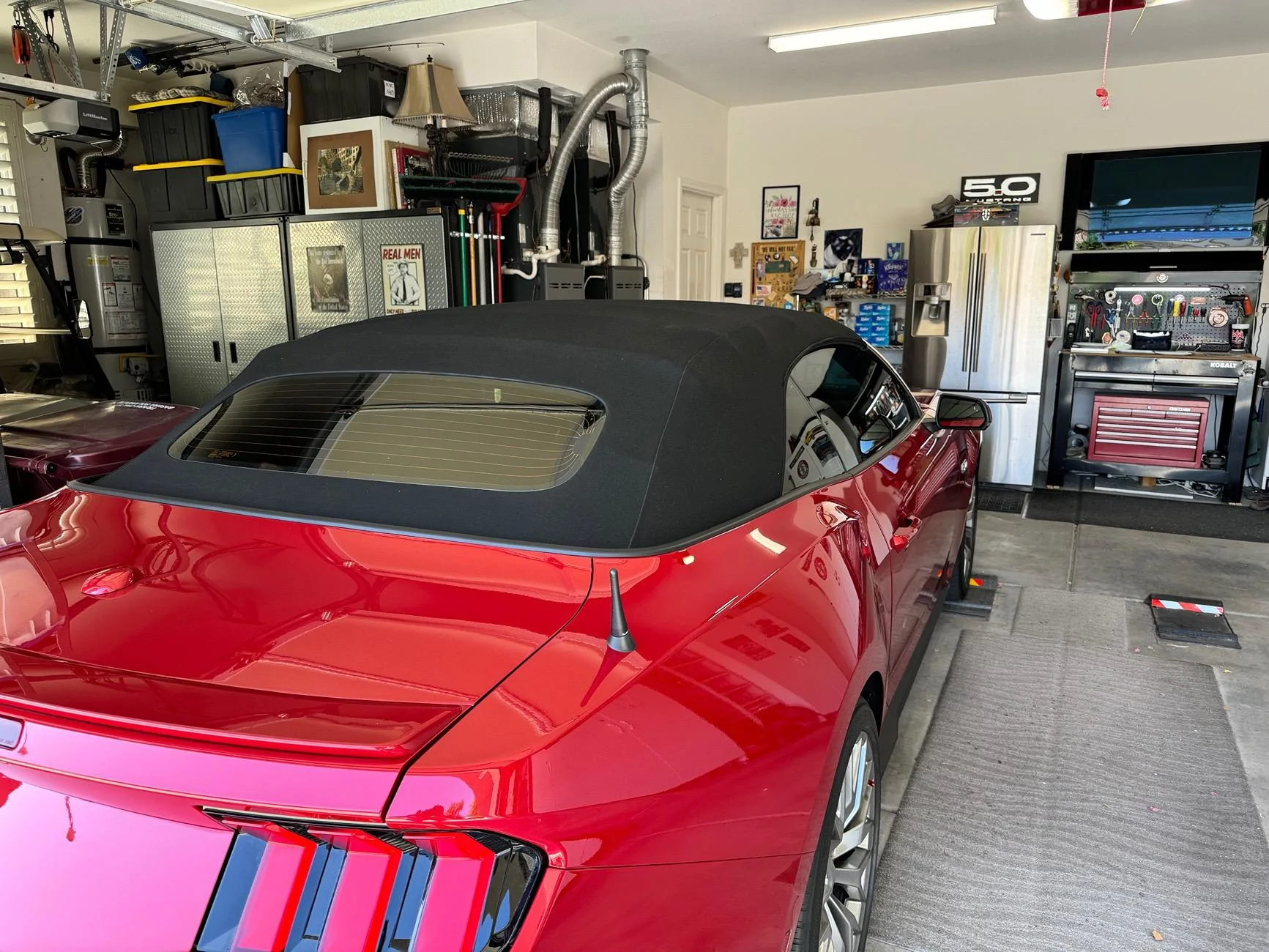 S650 Mustang I Finally Filmed it (full Ceramic TInt)! IMG_6099