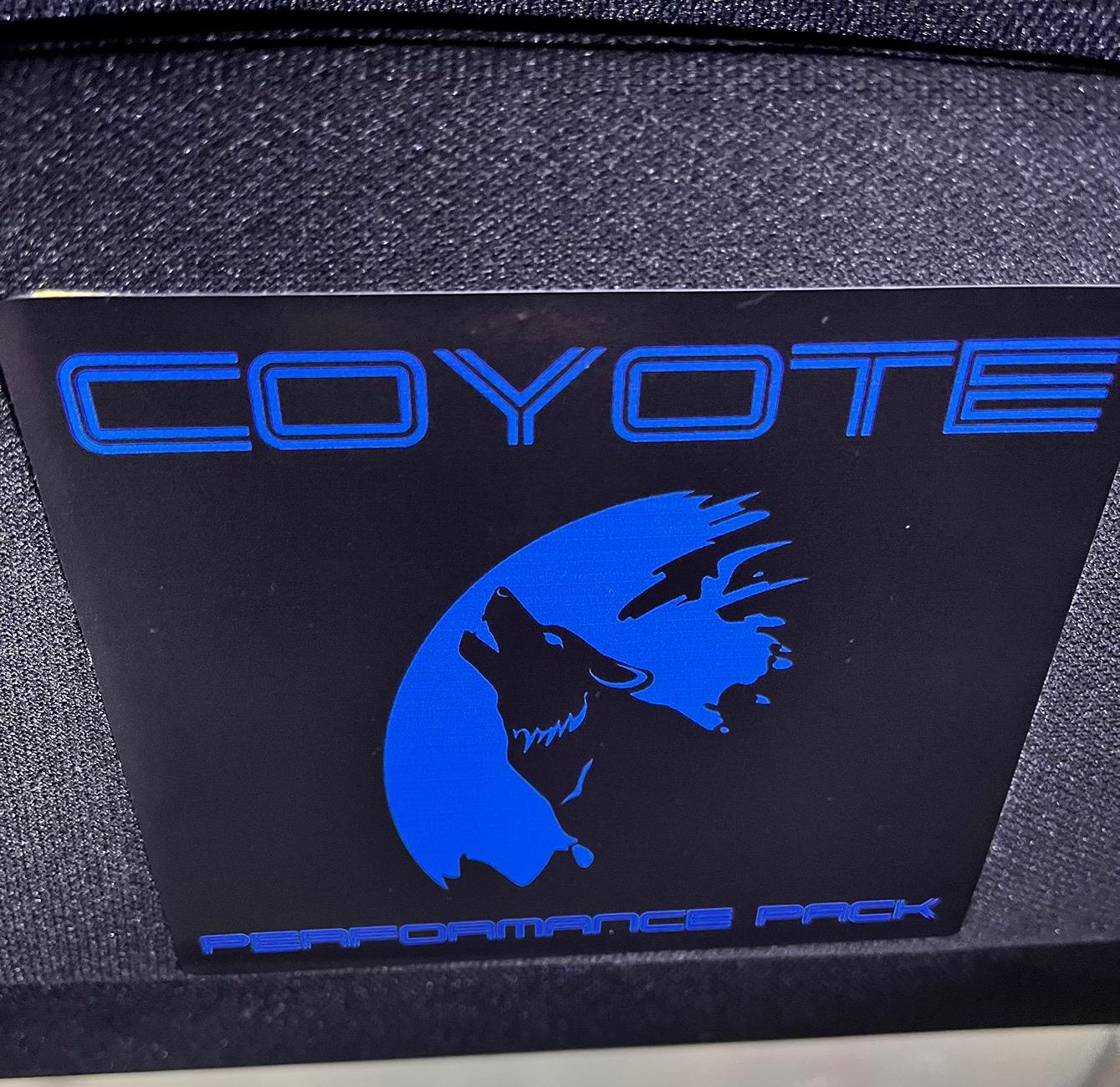 S650 Mustang Sun Visor Ugly Decal Defeated! IMG_5889