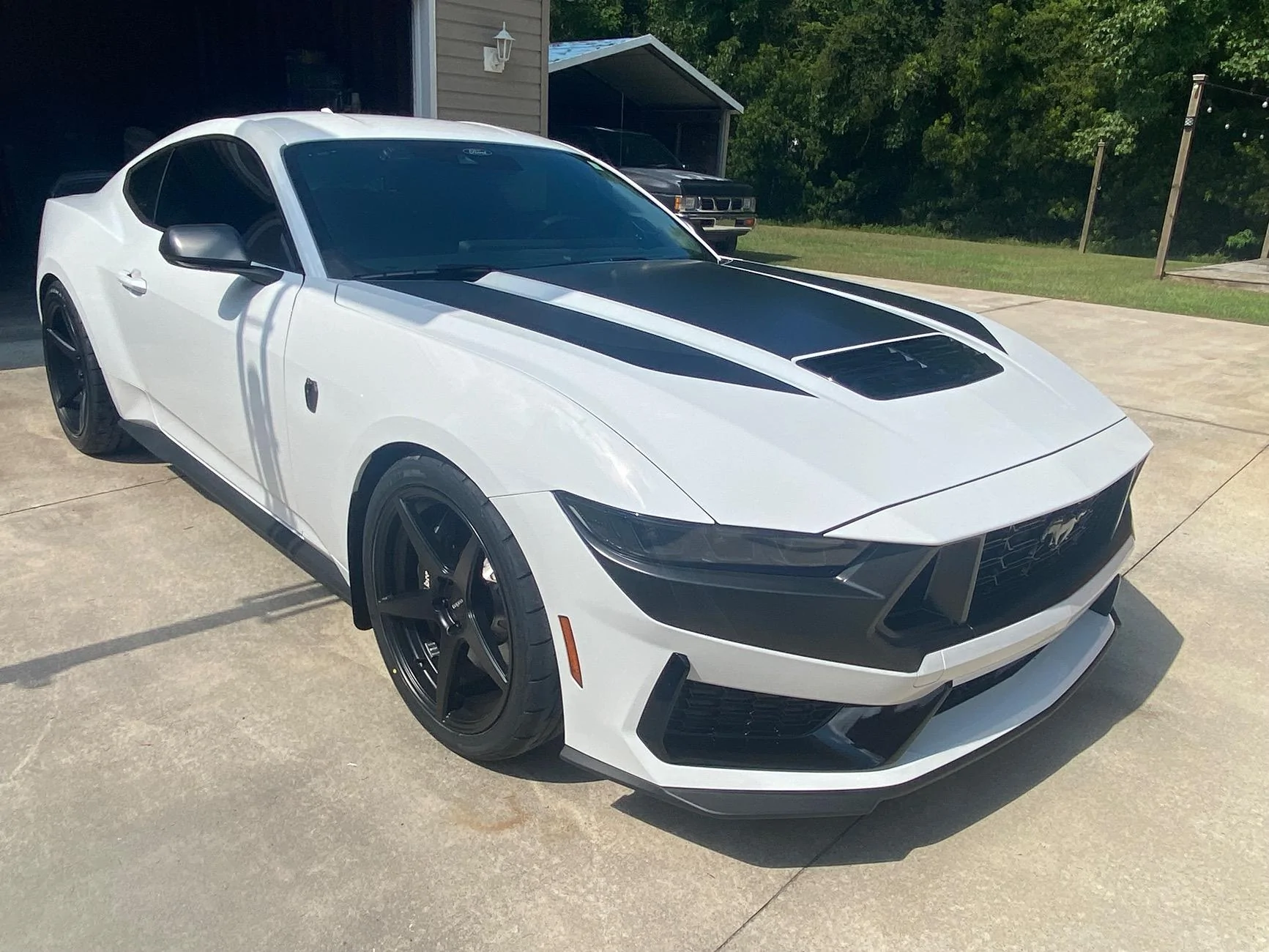 S650 Mustang Gloss Black or Satin Black on an Oxford White Dark Horse IMG_7915