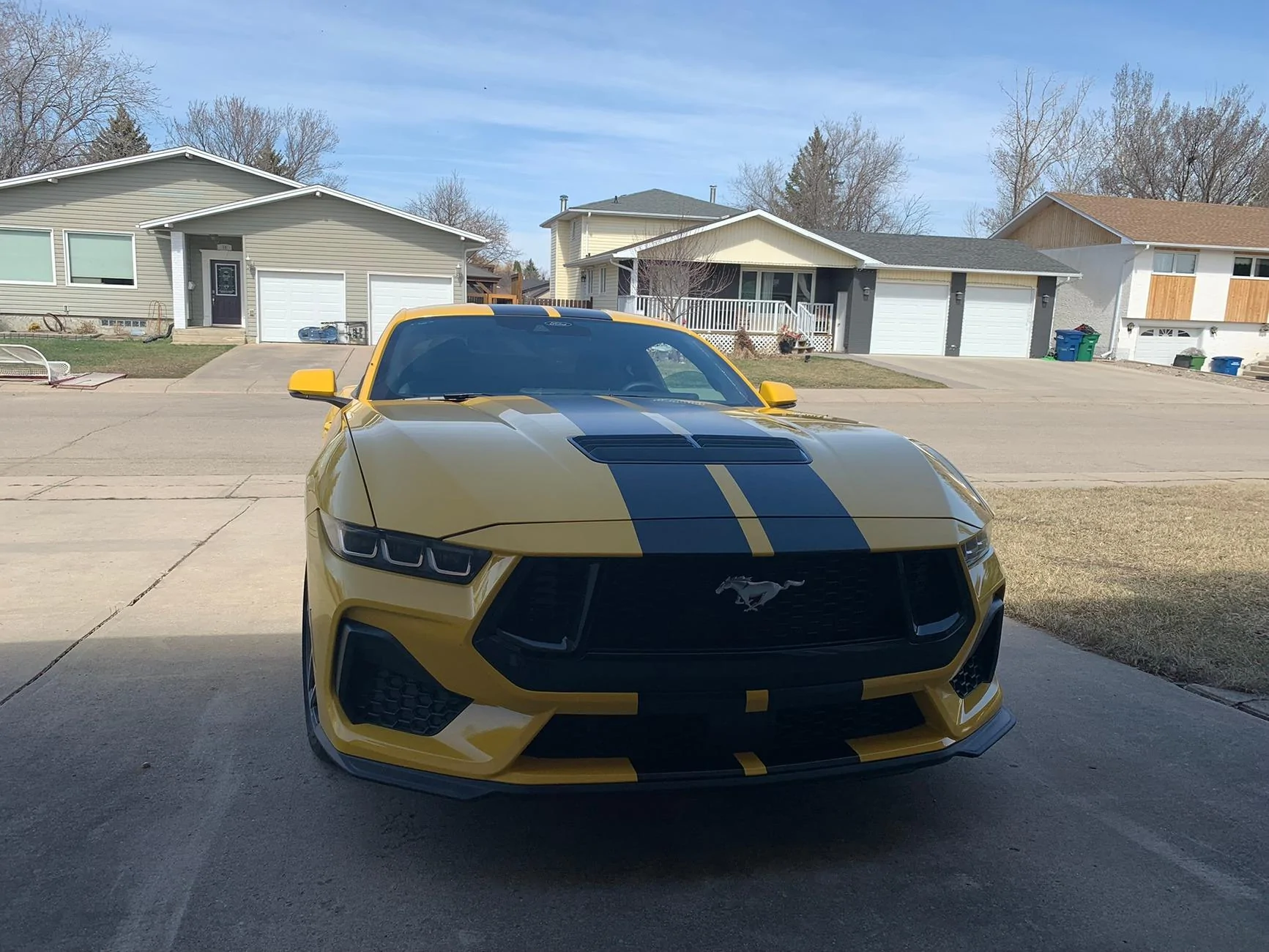 S650 Mustang Official YELLOW SPLASH Mustang S650 Thread IMG_1761