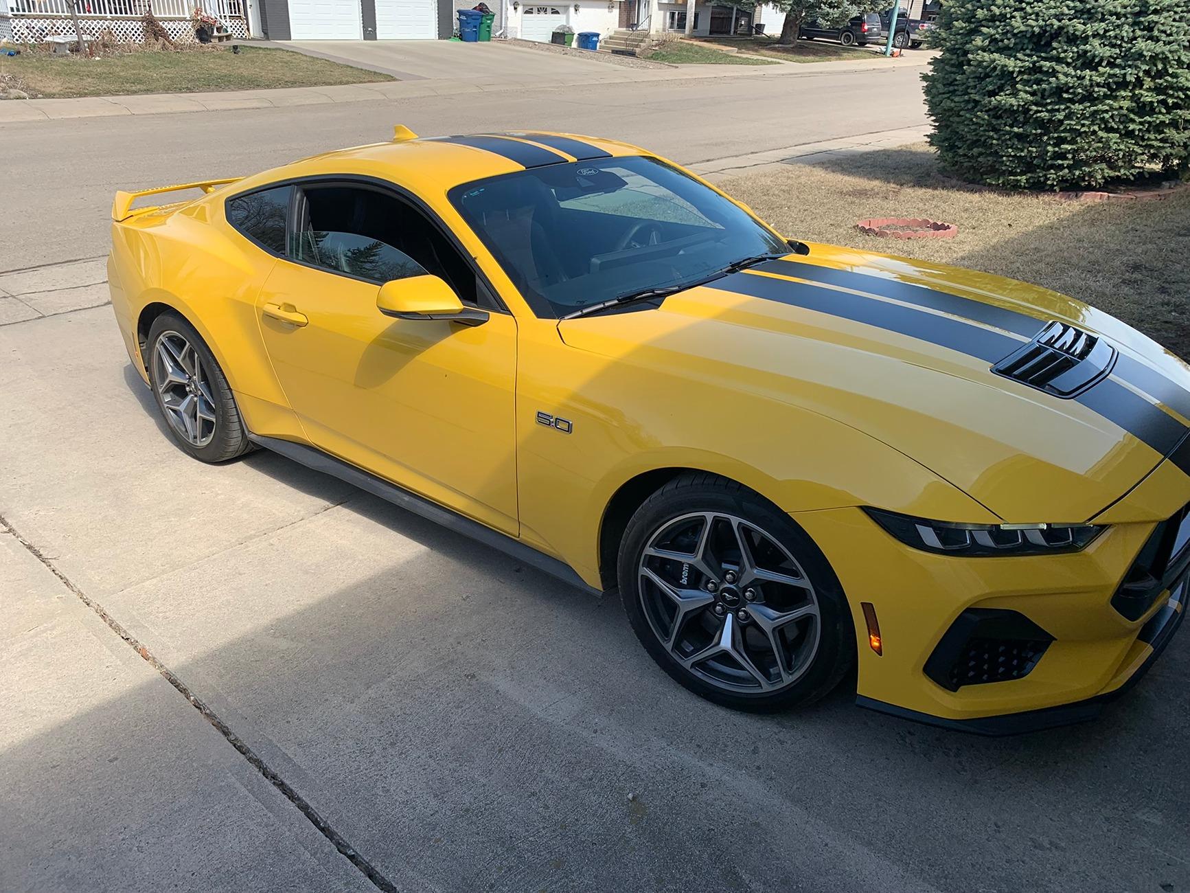 S650 Mustang Official YELLOW SPLASH Mustang S650 Thread IMG_1762.JPEG