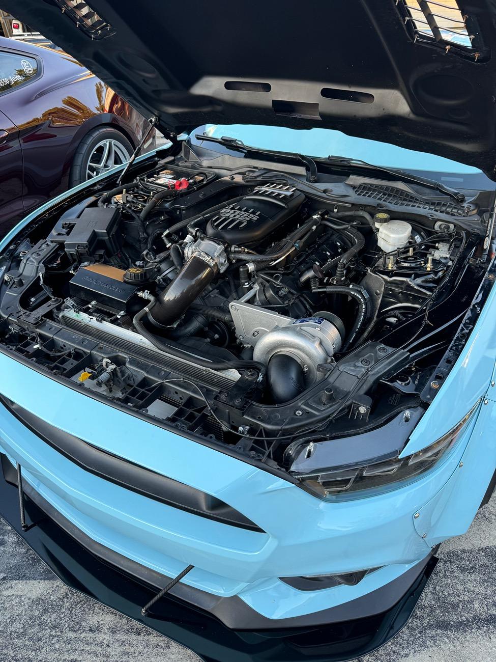 S650 Mustang Mustang Week - Who's Going?? IMG_6961