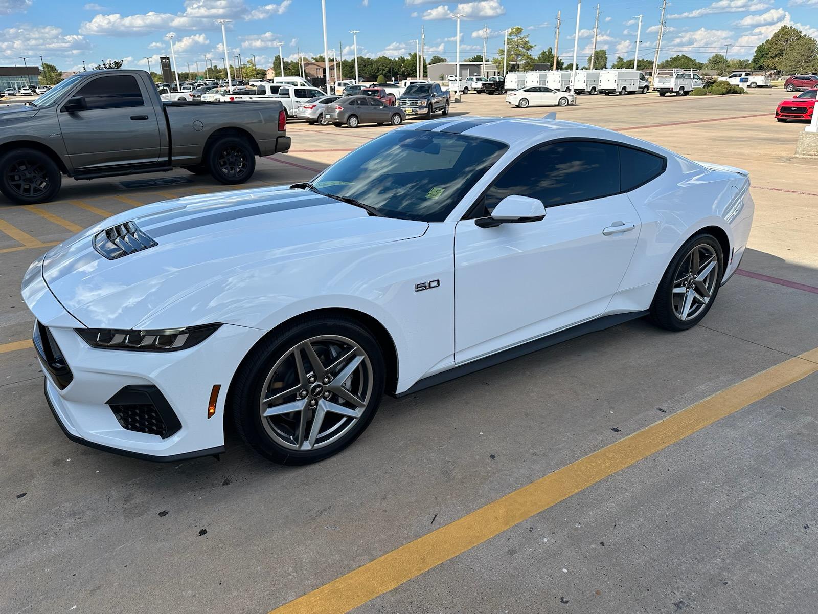 S650 Mustang Introductions & Welcome Thread 👋 Chihaya tint
