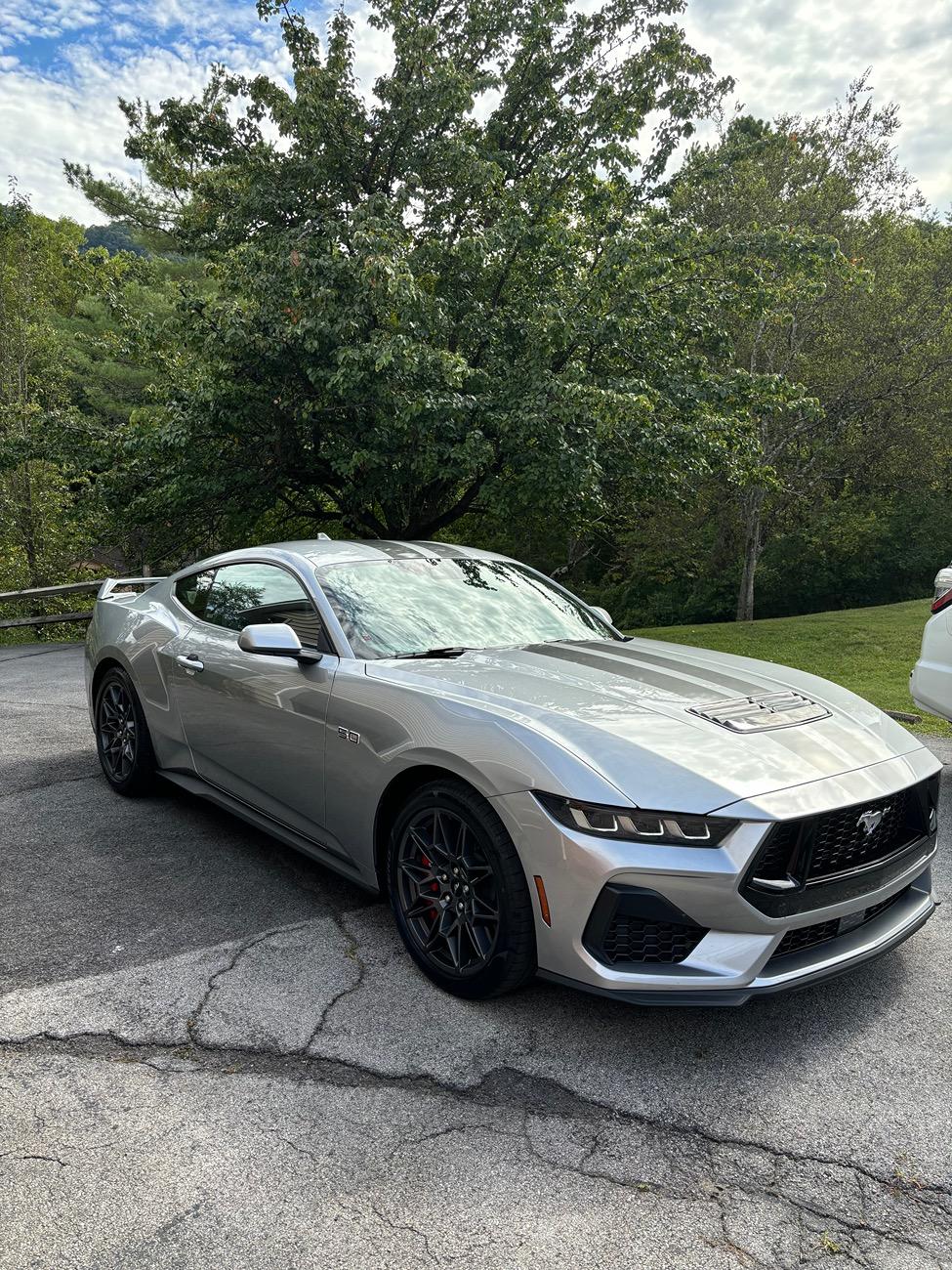S650 Mustang Official ICONIC SILVER Mustang S650 Thread IMG_5797