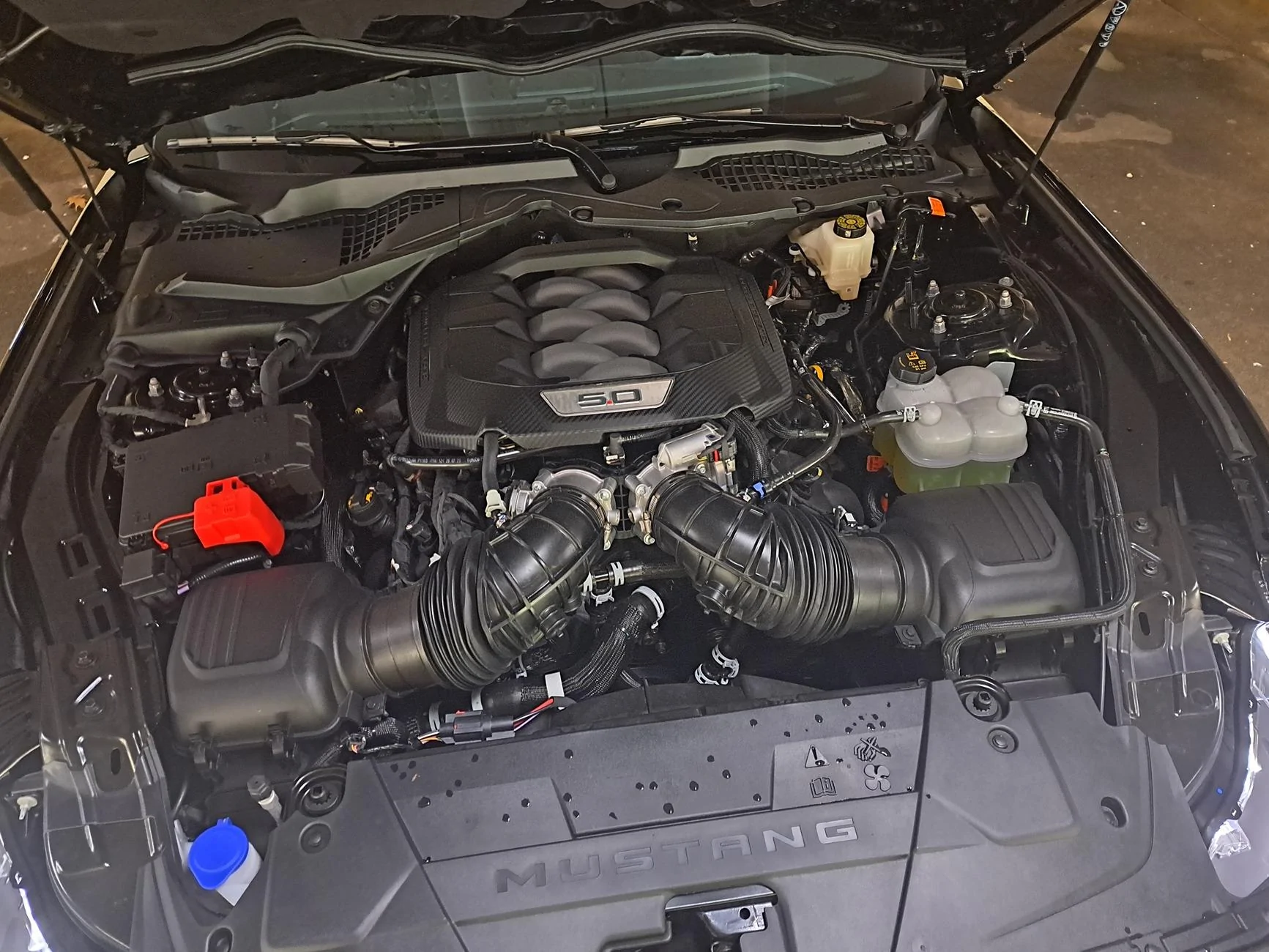 S650 Mustang Official SHADOW BLACK Mustang S650 Thread 1e12a288-a6d8-48cc-9c59-cb9d2ecf0060-1_all_1250