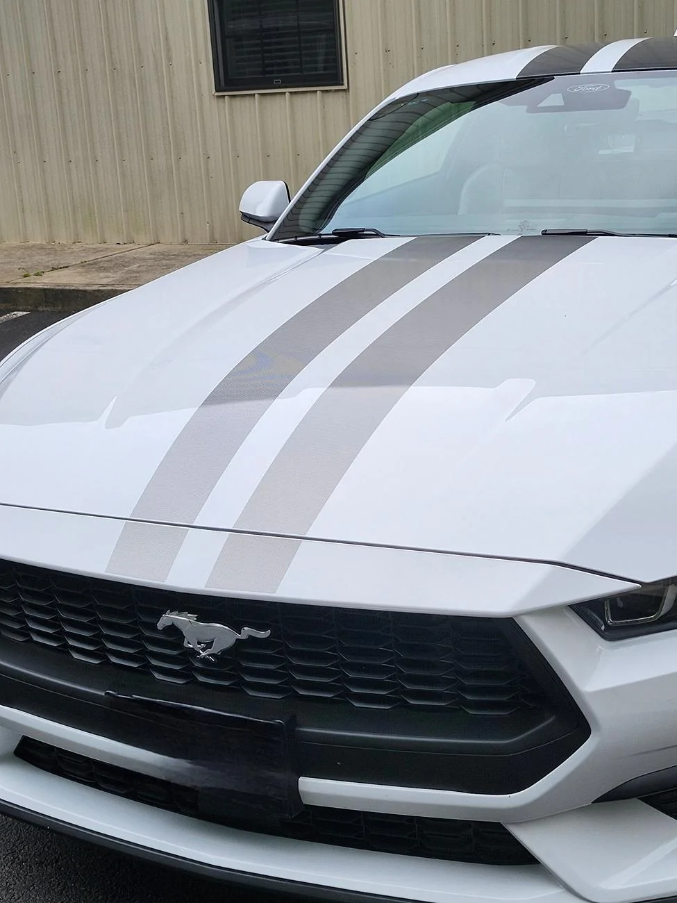 S650 Mustang Ordering Opacity Fade Stripe 1000009049