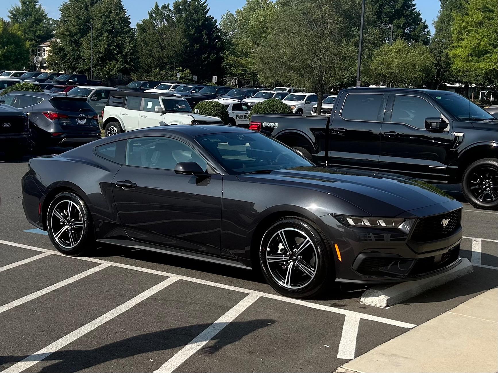 S650 Mustang Official DARK MATTER GRAY Mustang S650 Thread IMG_2986