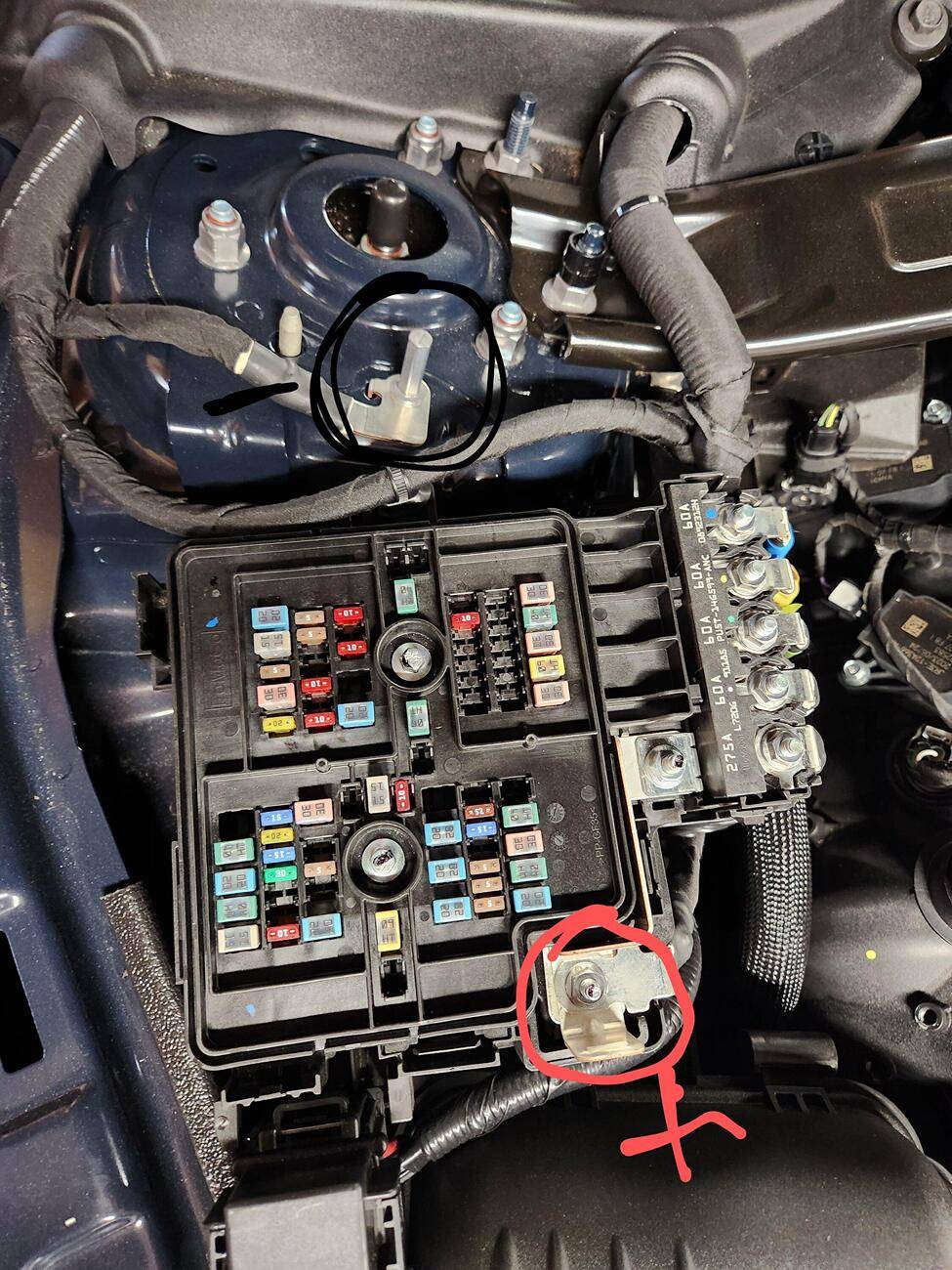 S650 Mustang Trickle charger recommendation for winter storage. 1726054917755-1e