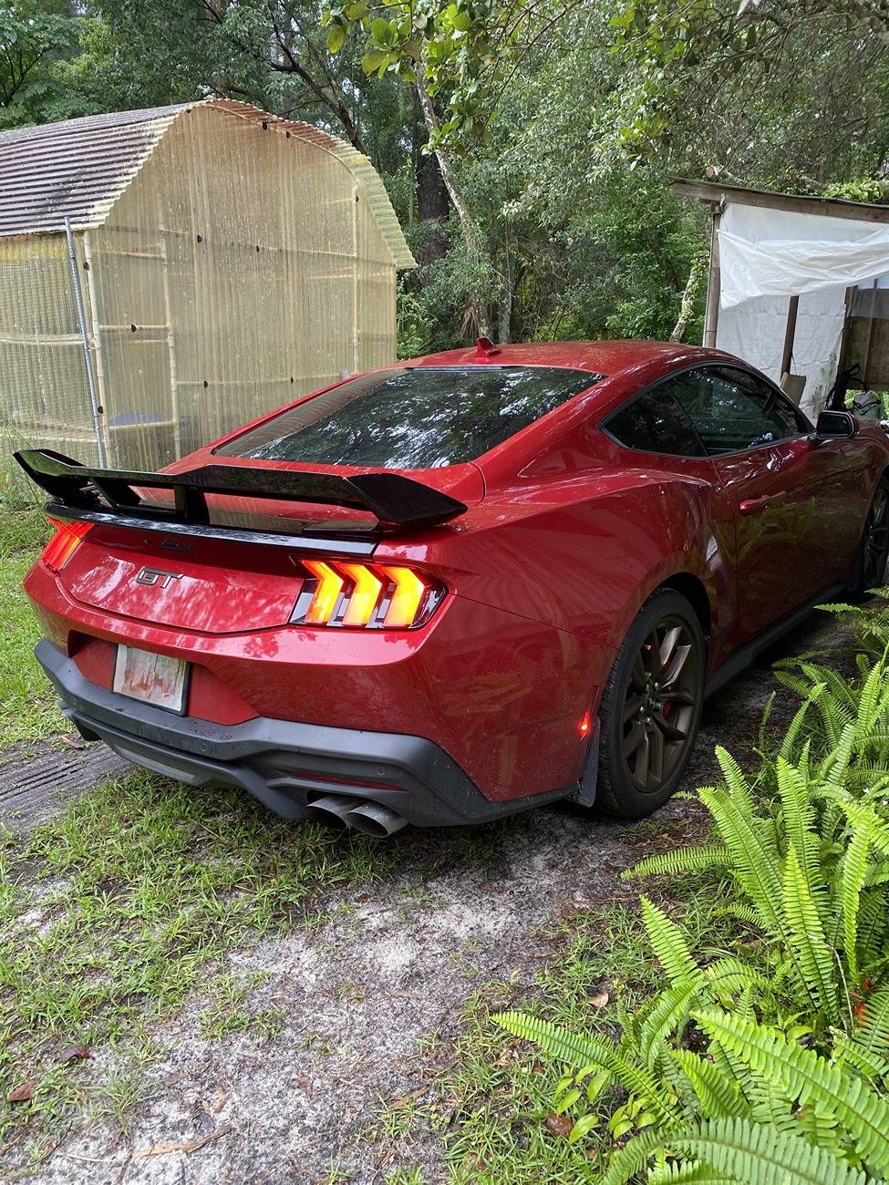 S650 Mustang [Spoiler] Dark Horse handling pack style spoiler - Stock Updates and Links IMG2