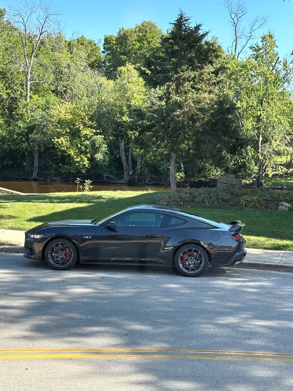 S650 Mustang Official DARK MATTER GRAY Mustang S650 Thread IMG_1411