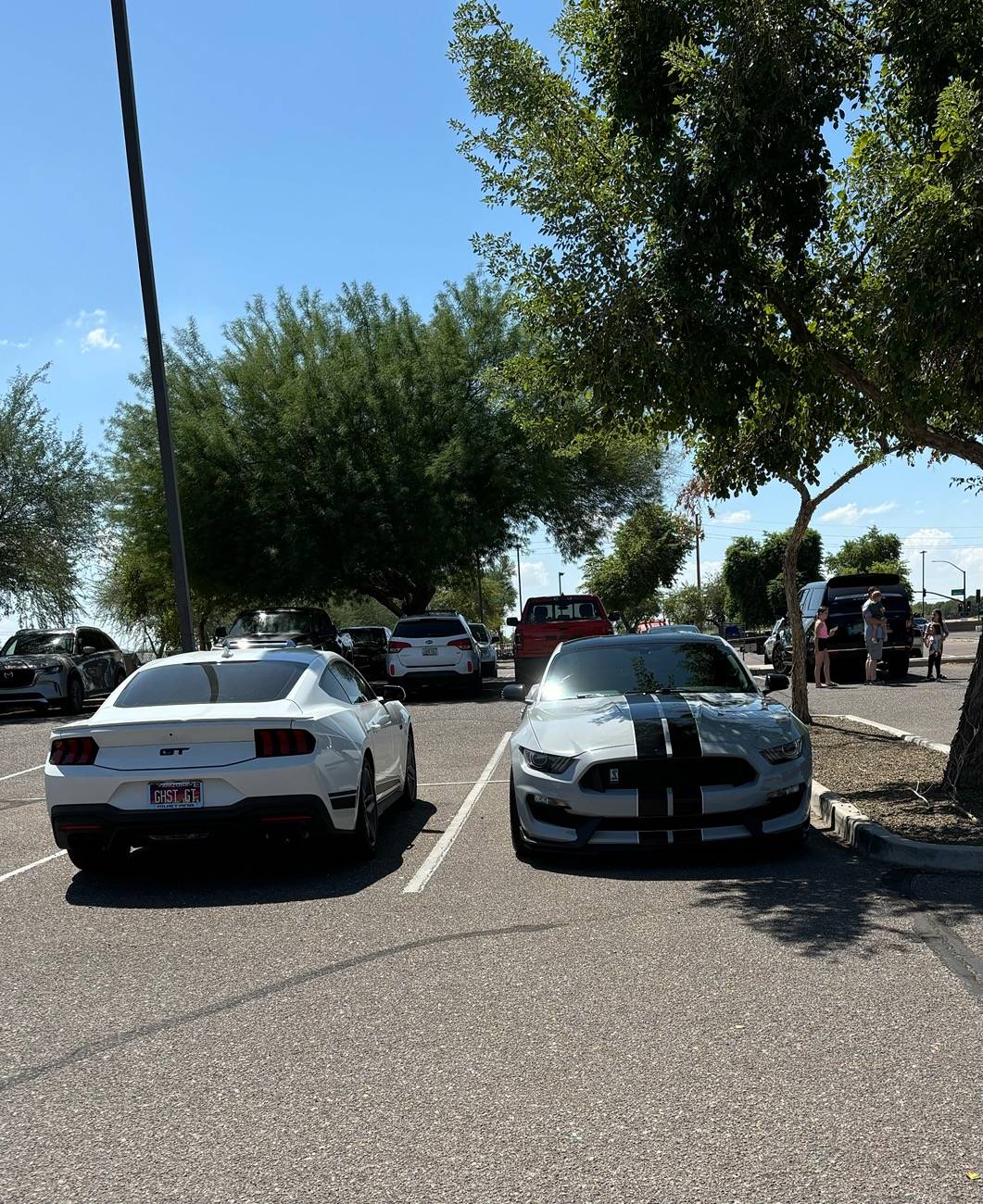 S650 Mustang South 40 parking stable mate IMG_5882