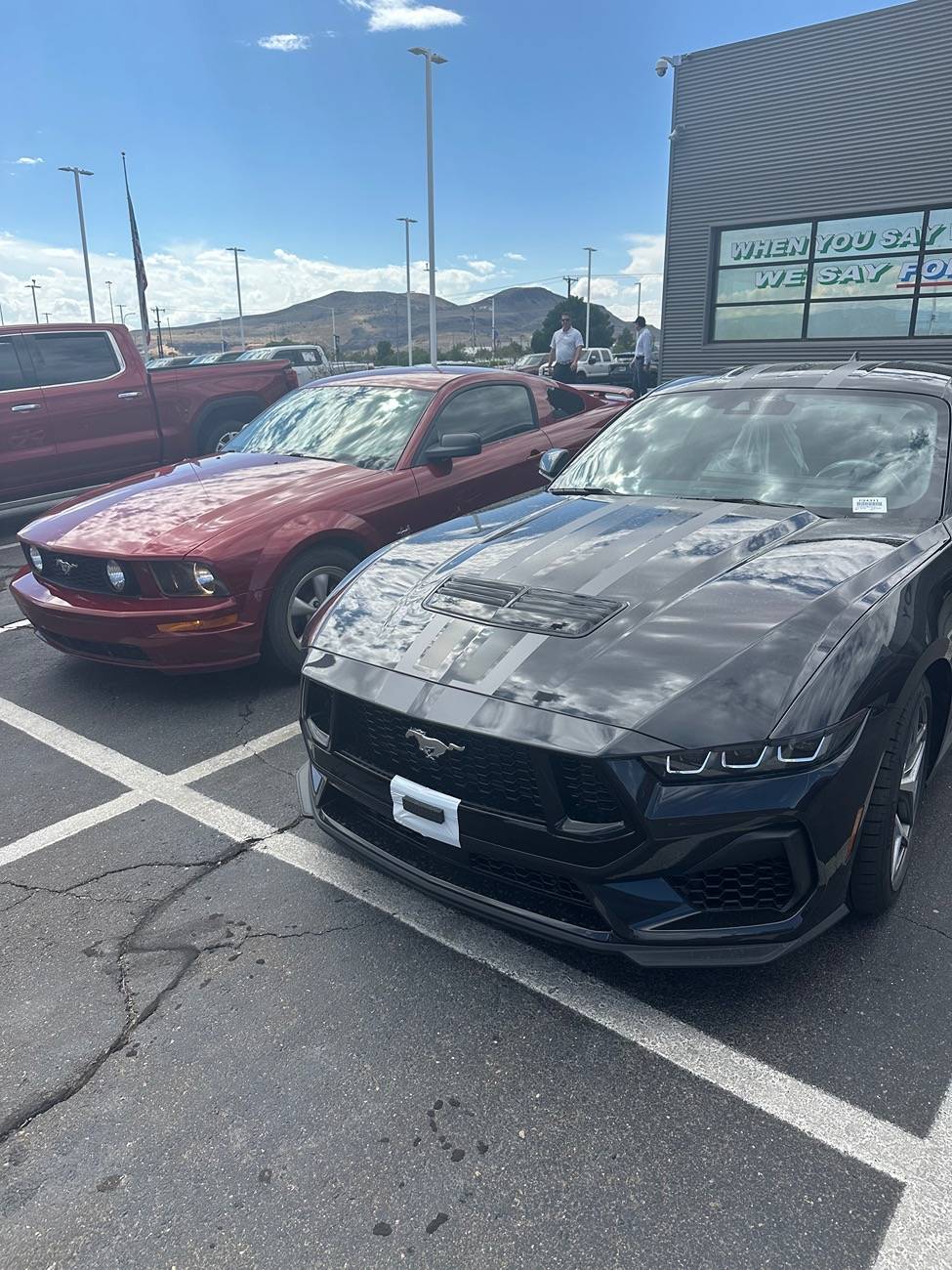 S650 Mustang Official DARK MATTER GRAY Mustang S650 Thread IMG_0619