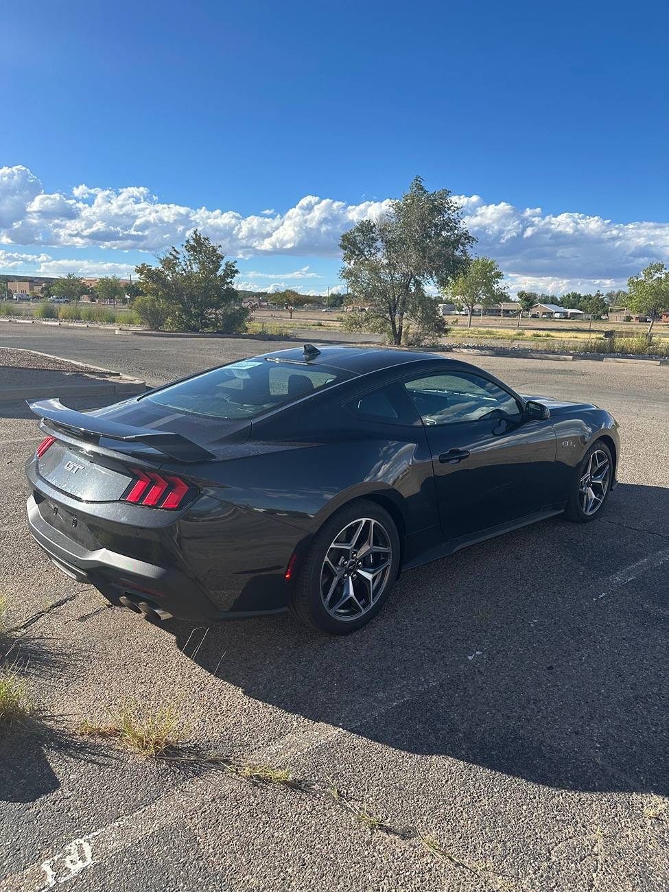 S650 Mustang Official DARK MATTER GRAY Mustang S650 Thread IMG_0622