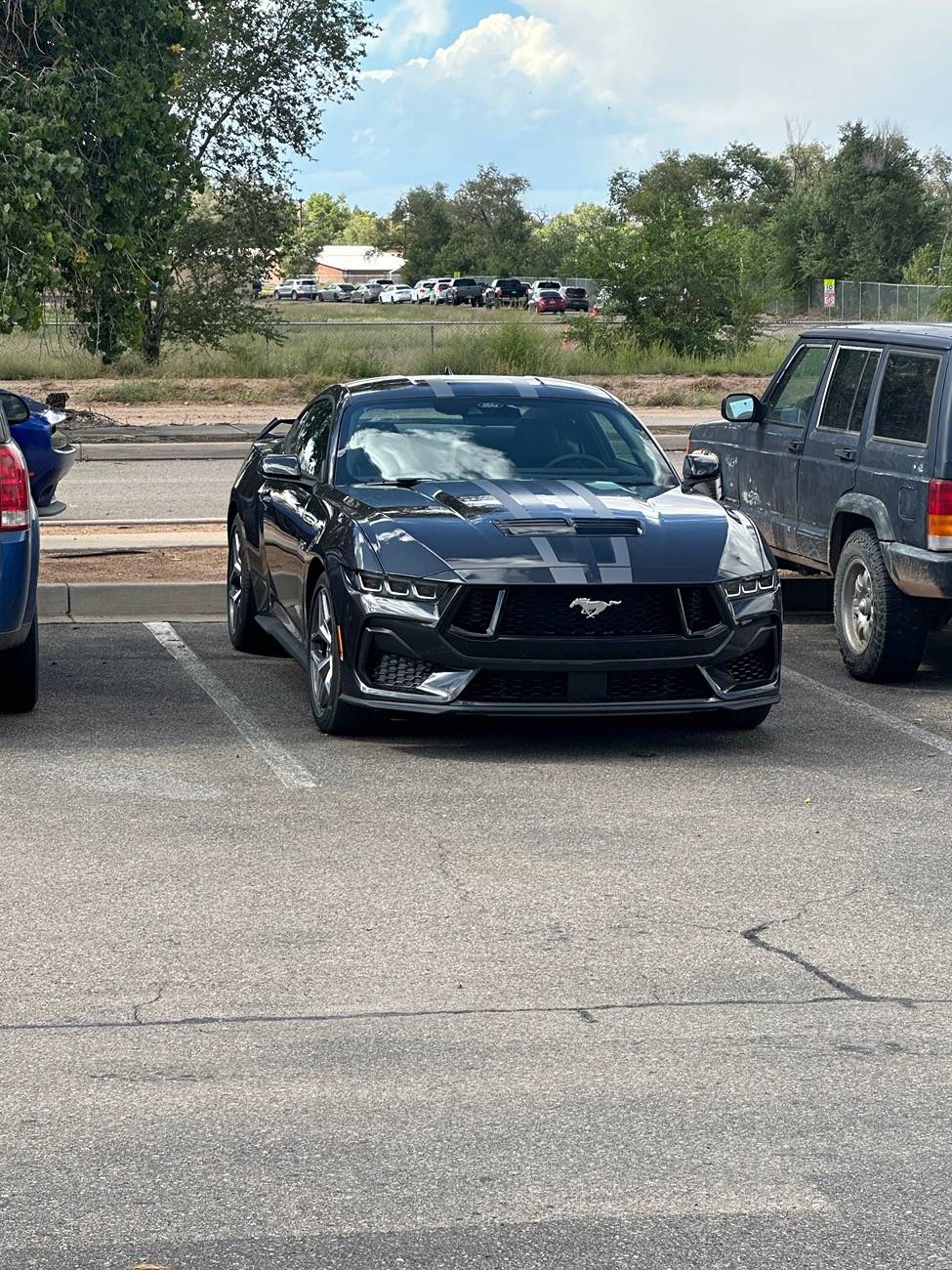 S650 Mustang Official DARK MATTER GRAY Mustang S650 Thread IMG_0621