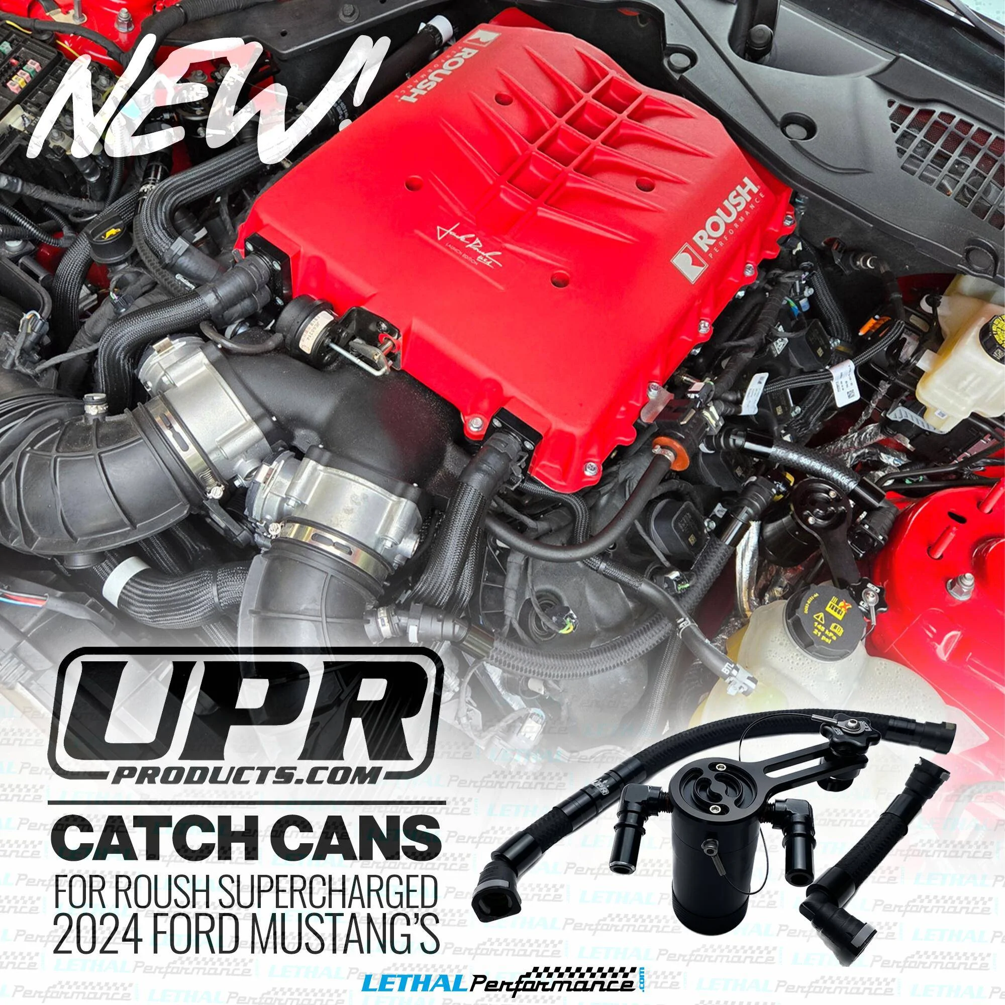 S650 Mustang UPR Catch Can for 2024+ Mustang GT/Dark Horse w/ Roush Supercharger Now Available here at Lethal Performance!! roush upr  2