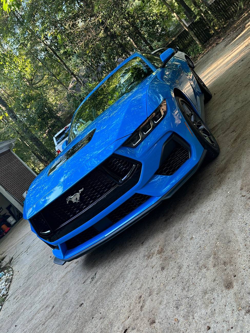 S650 Mustang What did you do to your S650 Mustang today?? 🙋🏻‍♂️ IMG_1923