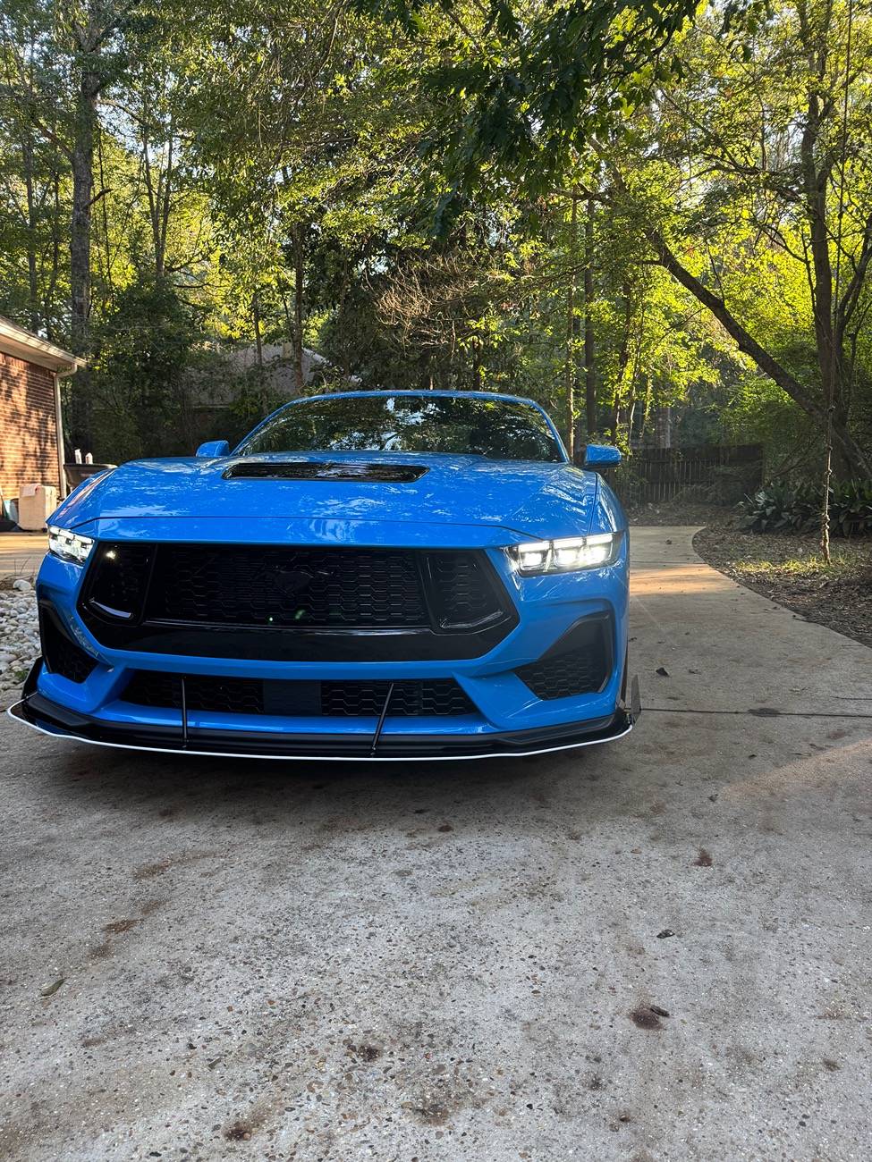 S650 Mustang What did you do to your S650 Mustang today?? 🙋🏻‍♂️ IMG_1943