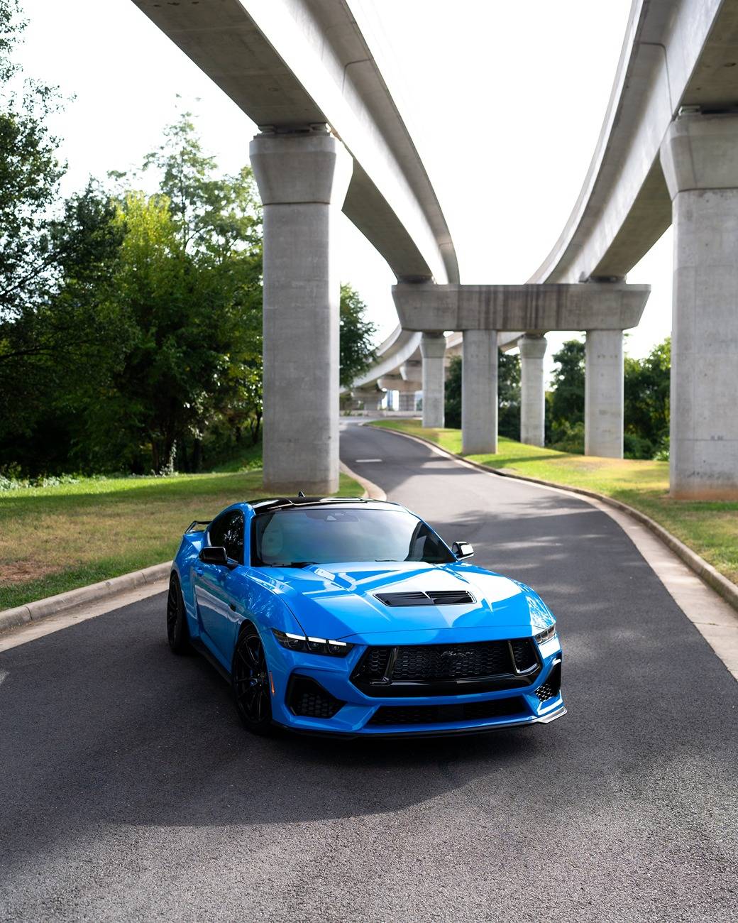 S650 Mustang Official GRABBER BLUE Mustang S650 Thread 240916091707001