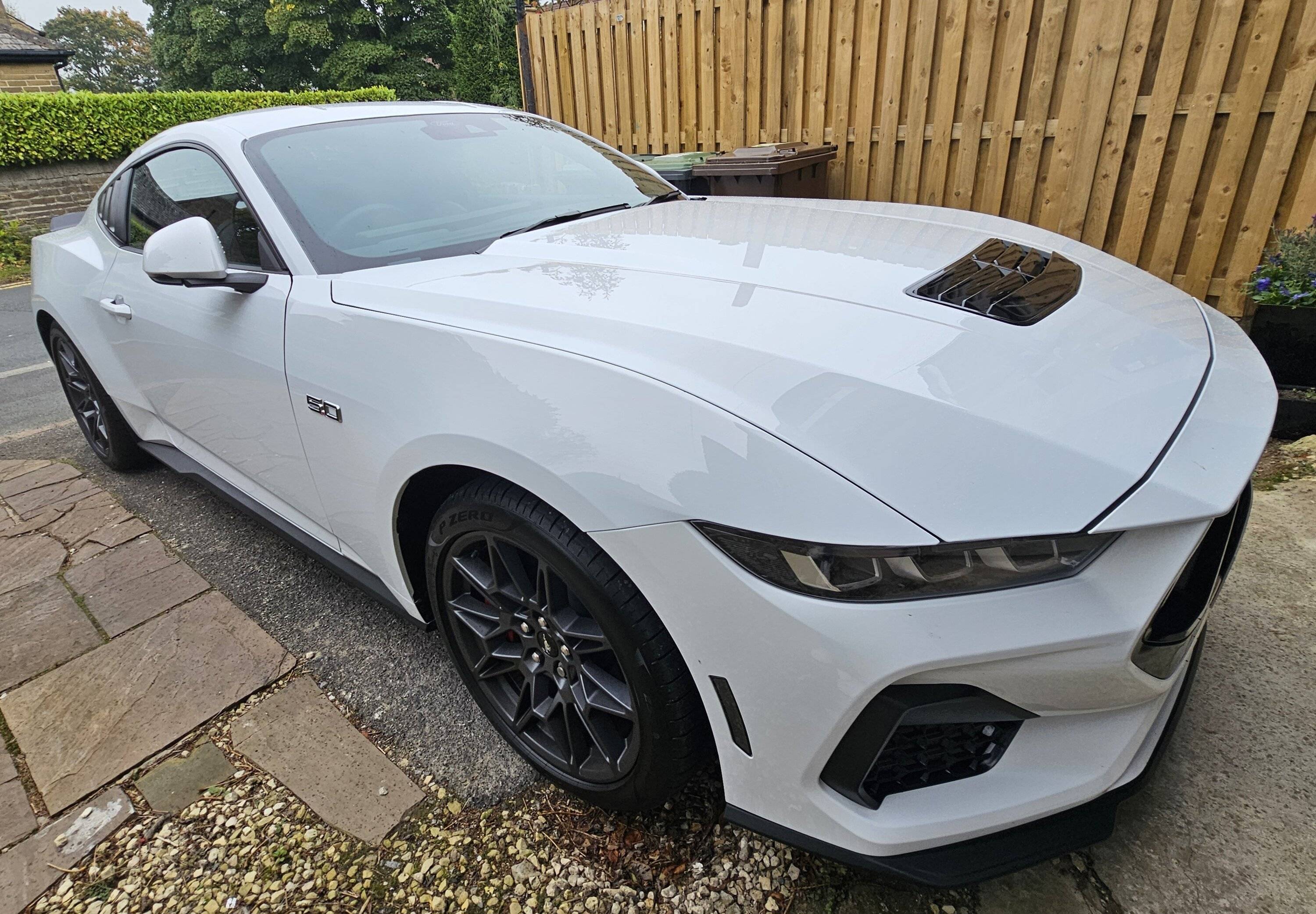 S650 Mustang Picked up Friday 20240922_144241