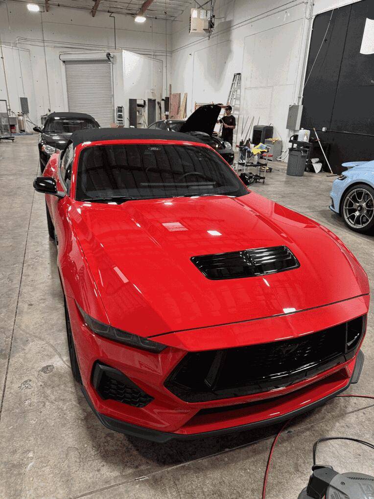 S650 Mustang Tint - I messed up, and my car was keyed 1000009942